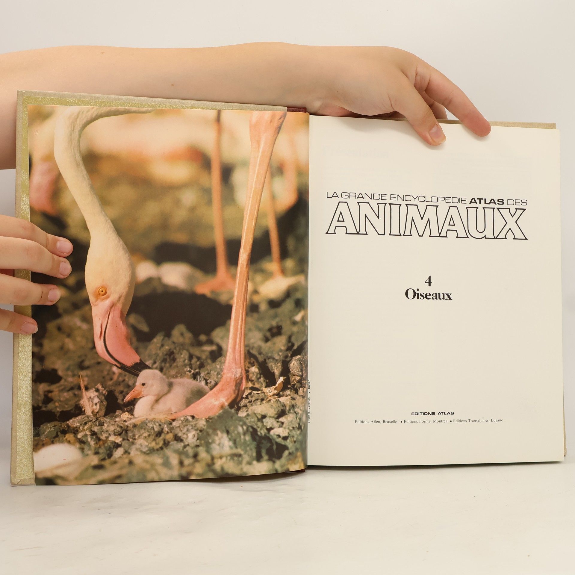 Kolektív autorov La grande encyclopédie Atlas des animaux 4