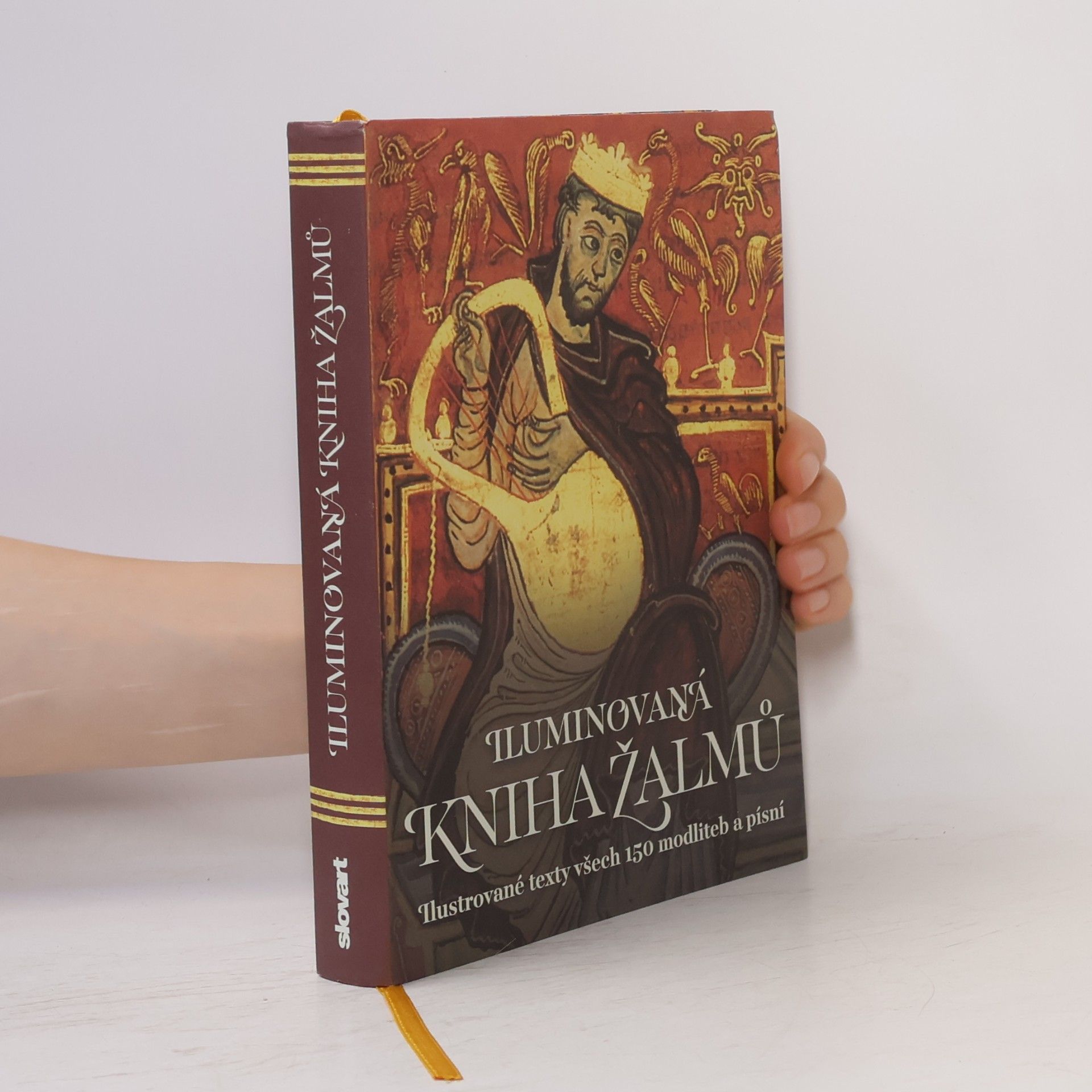 Kolektiv autorů Iluminovaná kniha Žalmů