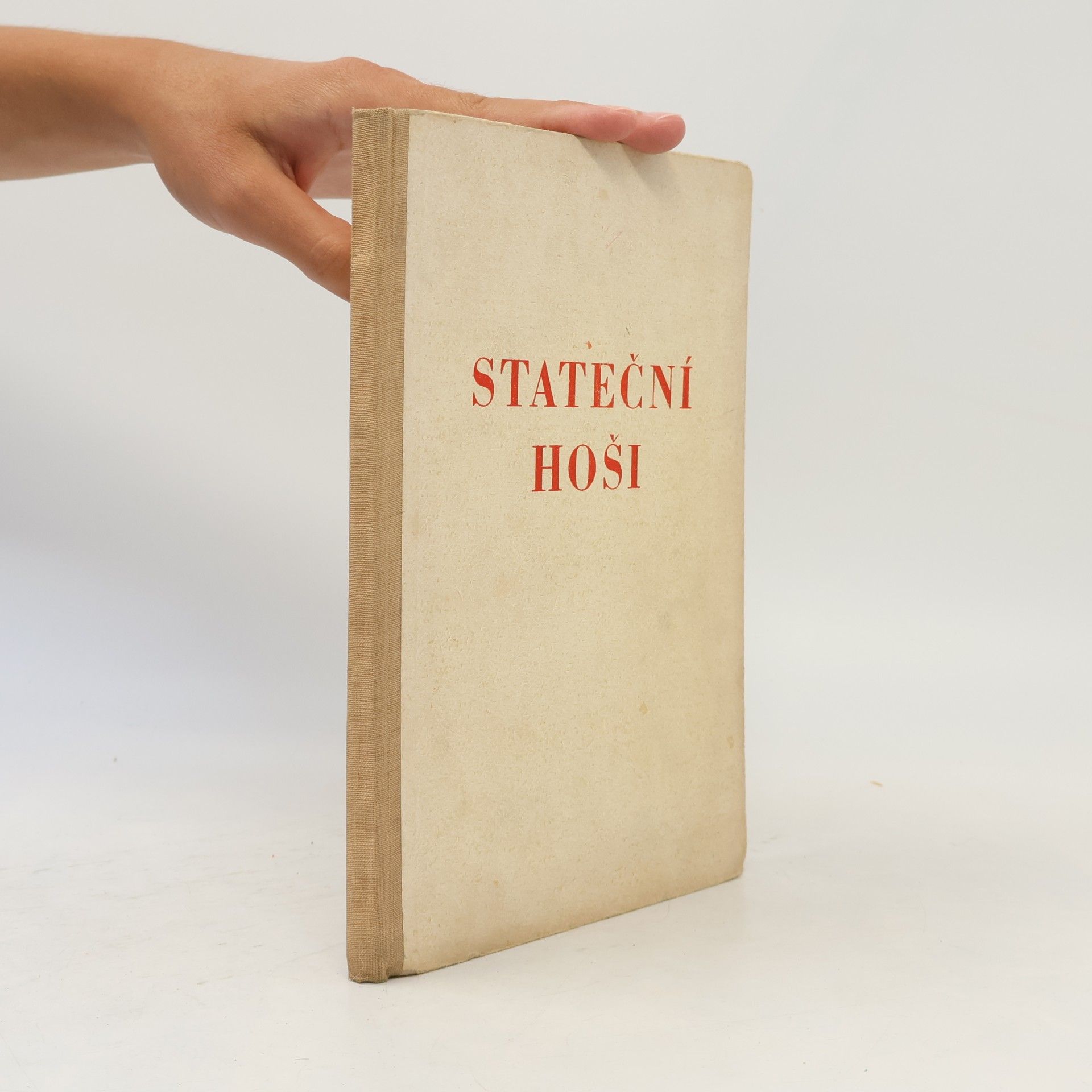 Stateční hoši