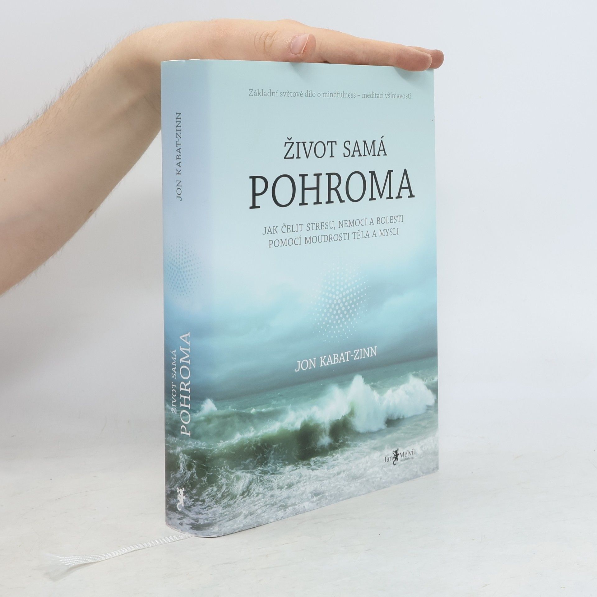 Jon Kabat-Zinn Život samá pohroma