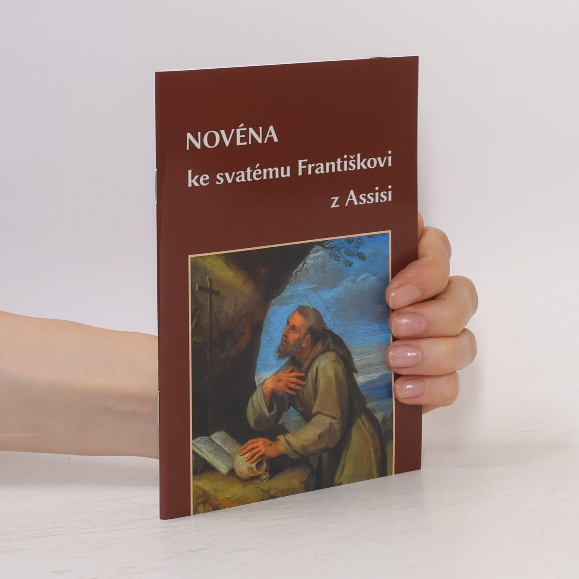 Autorenkollektiv Novéna ke svatému Františkovi z Assisi