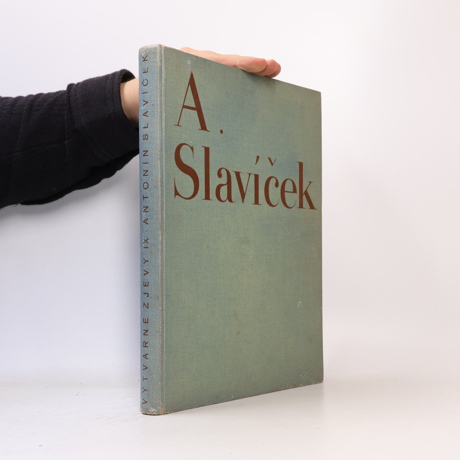 Kolektiv autorů Antonín Slavíček
