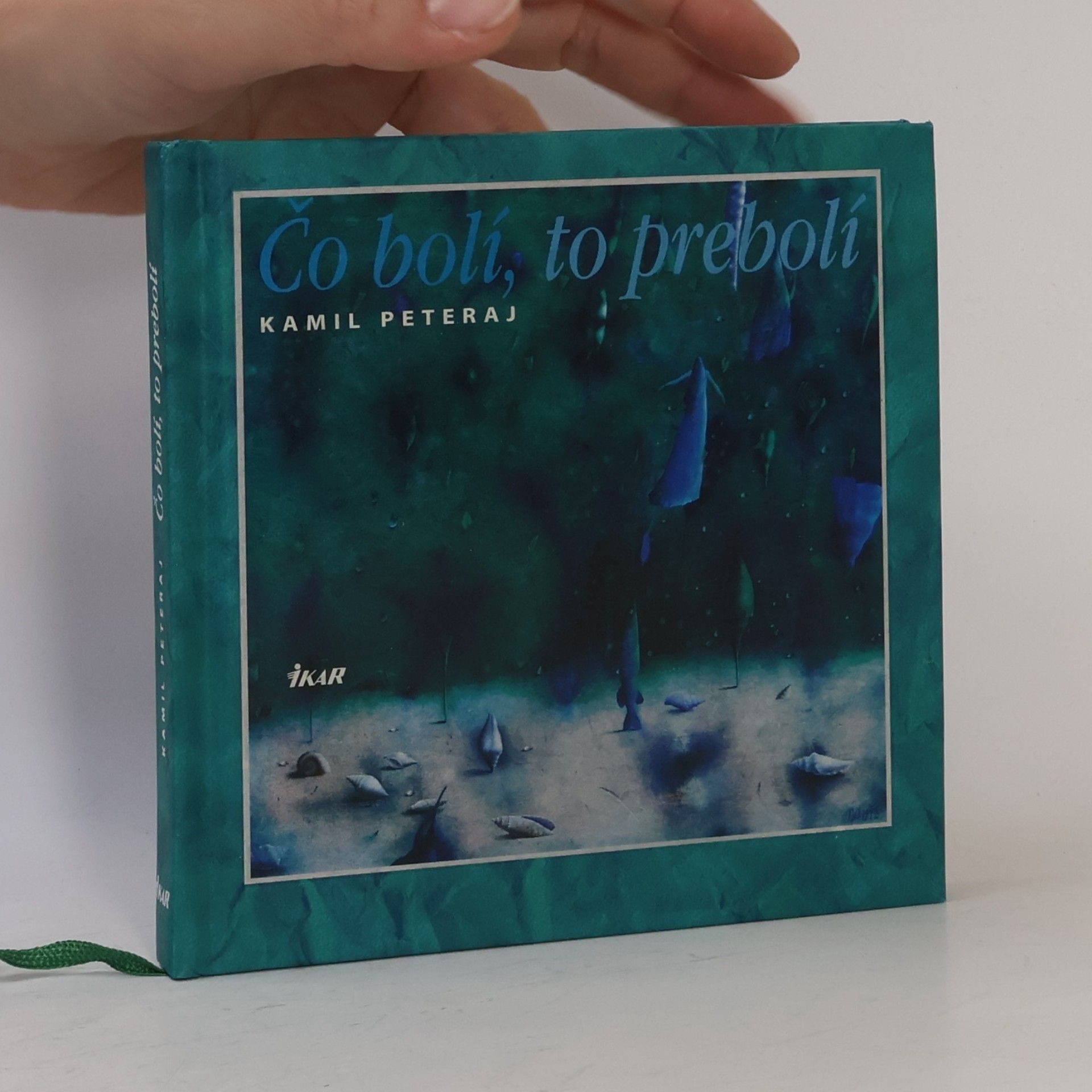 Kamil Peteraj Čo bolí to prebolí