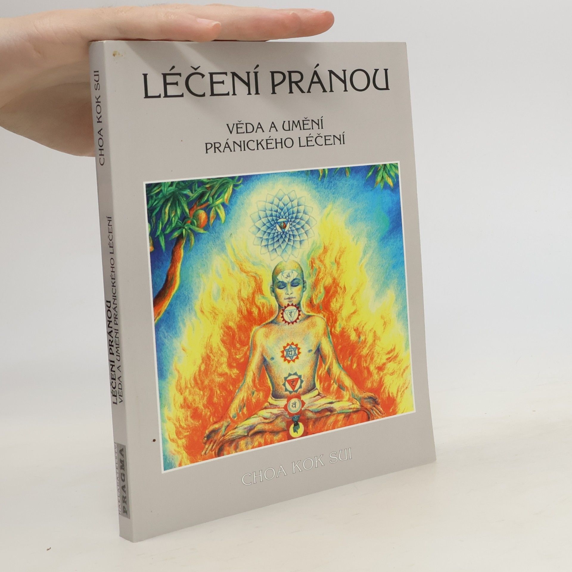 Léčení pránou: Věda a umění pránického léčení