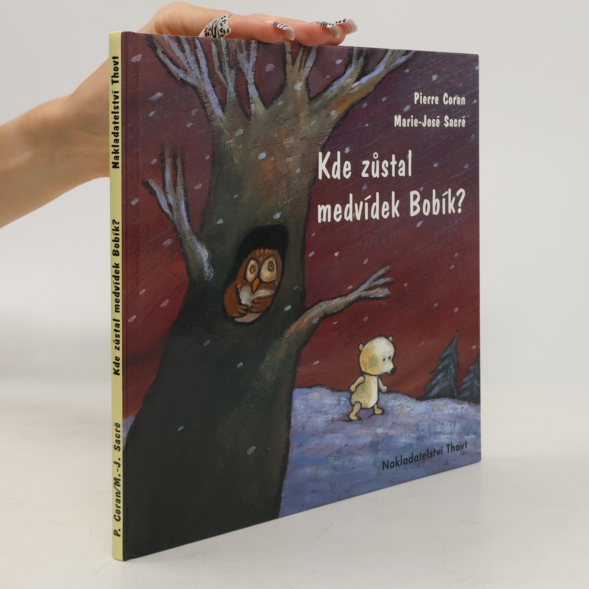 Pierre Coran Kde zůstal medvídek Bobík?