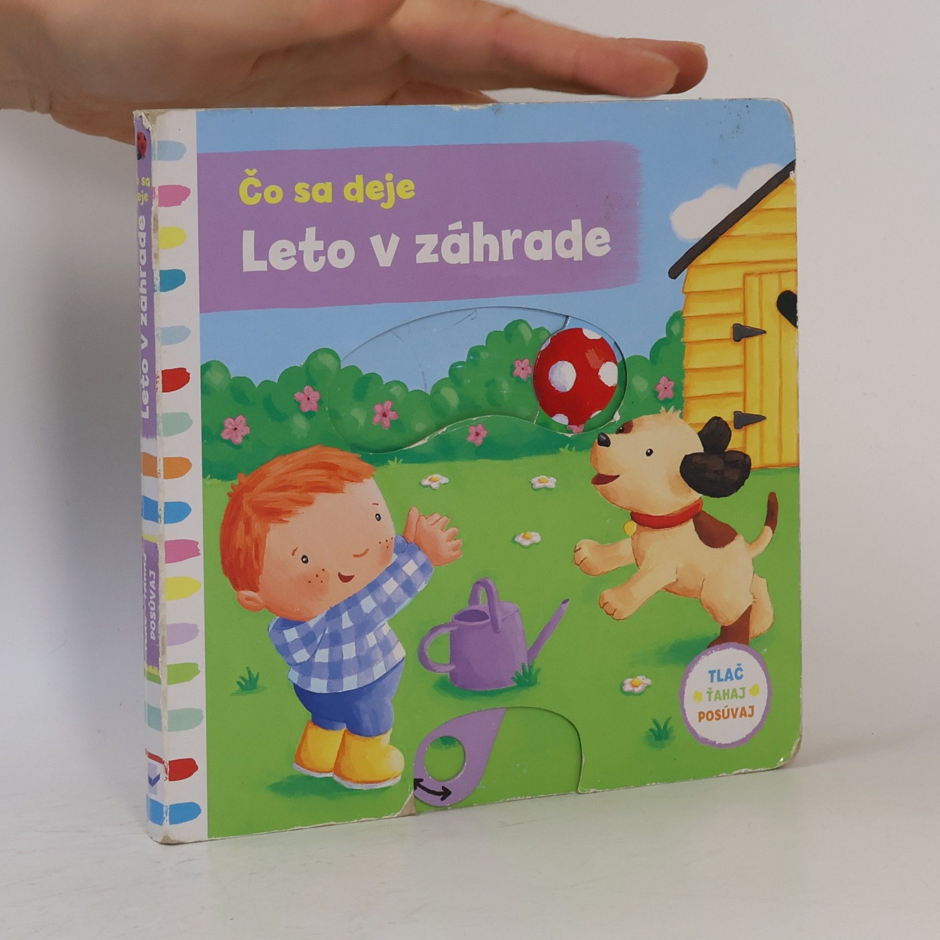Autorenkollektiv Čo sa deje : Leto v záhrade
