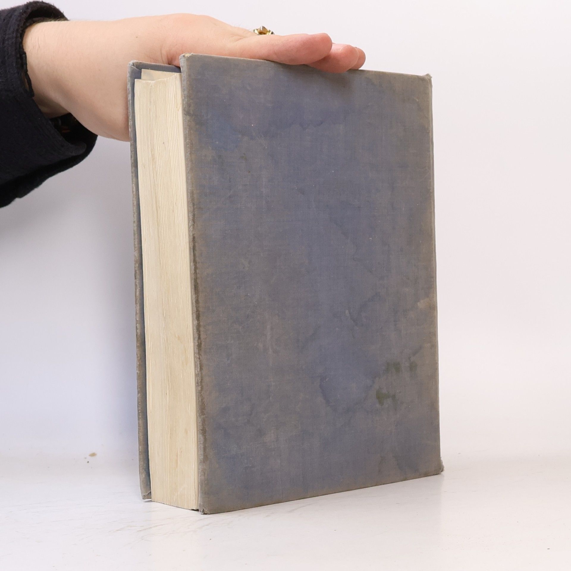Autorenkollektiv Bible