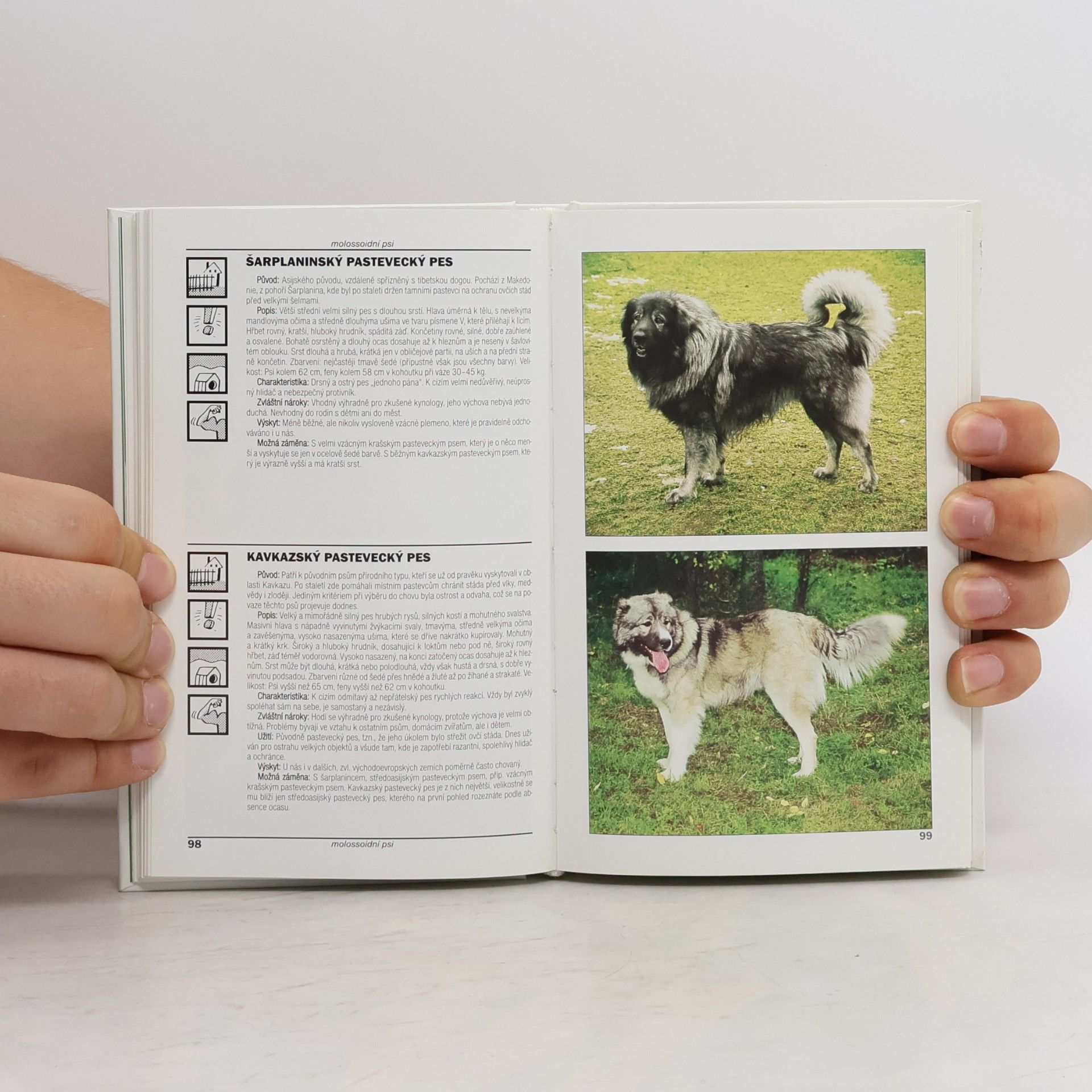 Lea Smrčková Kapesní atlas psů