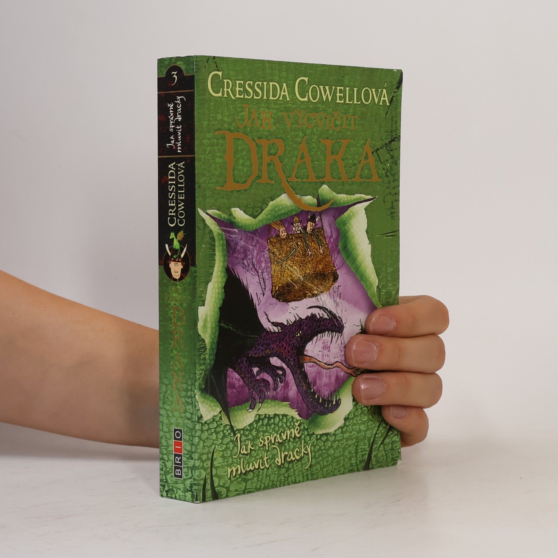 Cressida Cowell Jak správně mluvit dracky