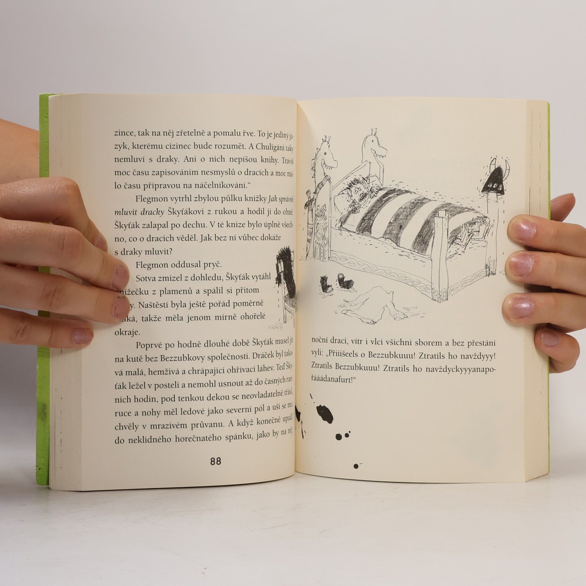 Cressida Cowell Jak správně mluvit dracky