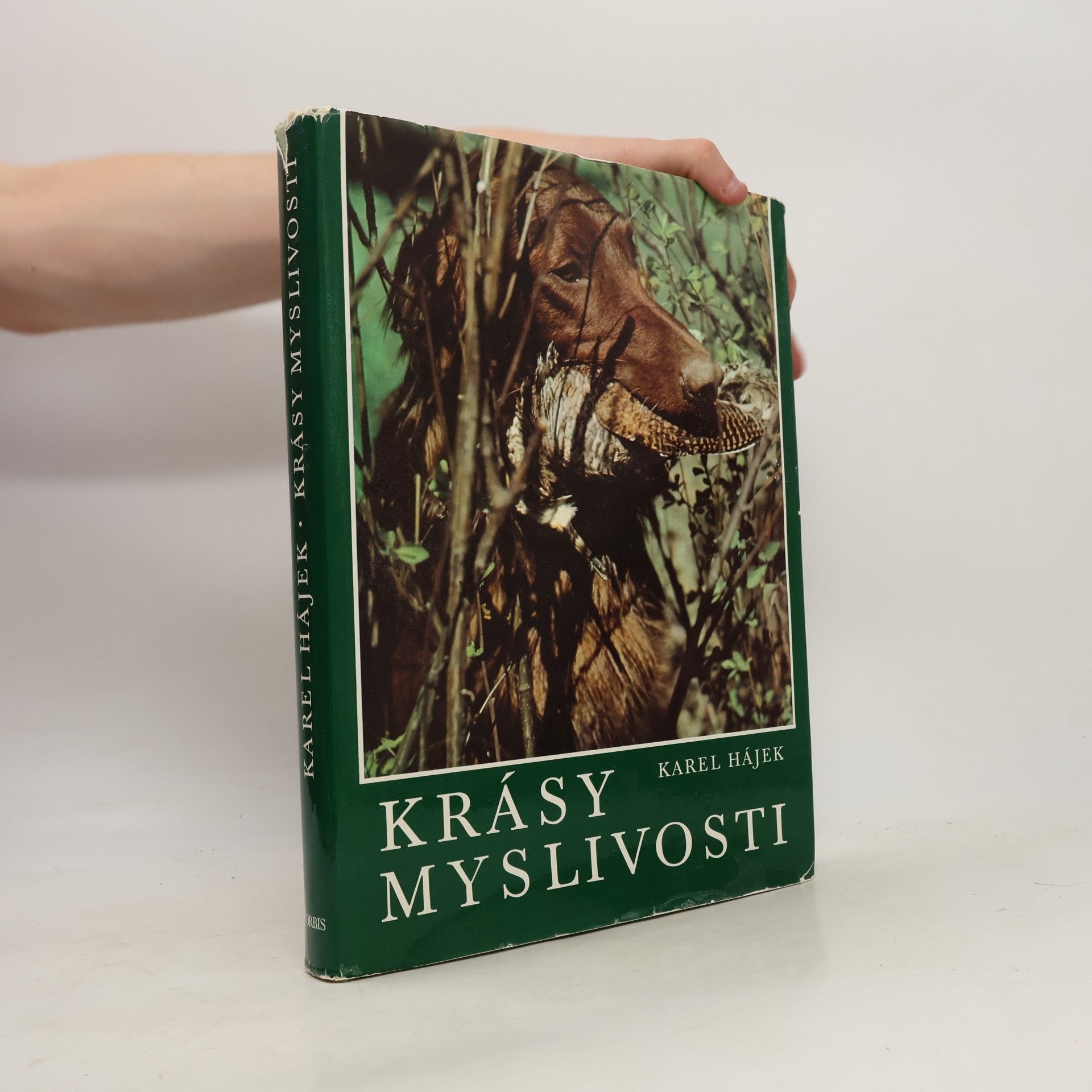 Krásy myslivosti