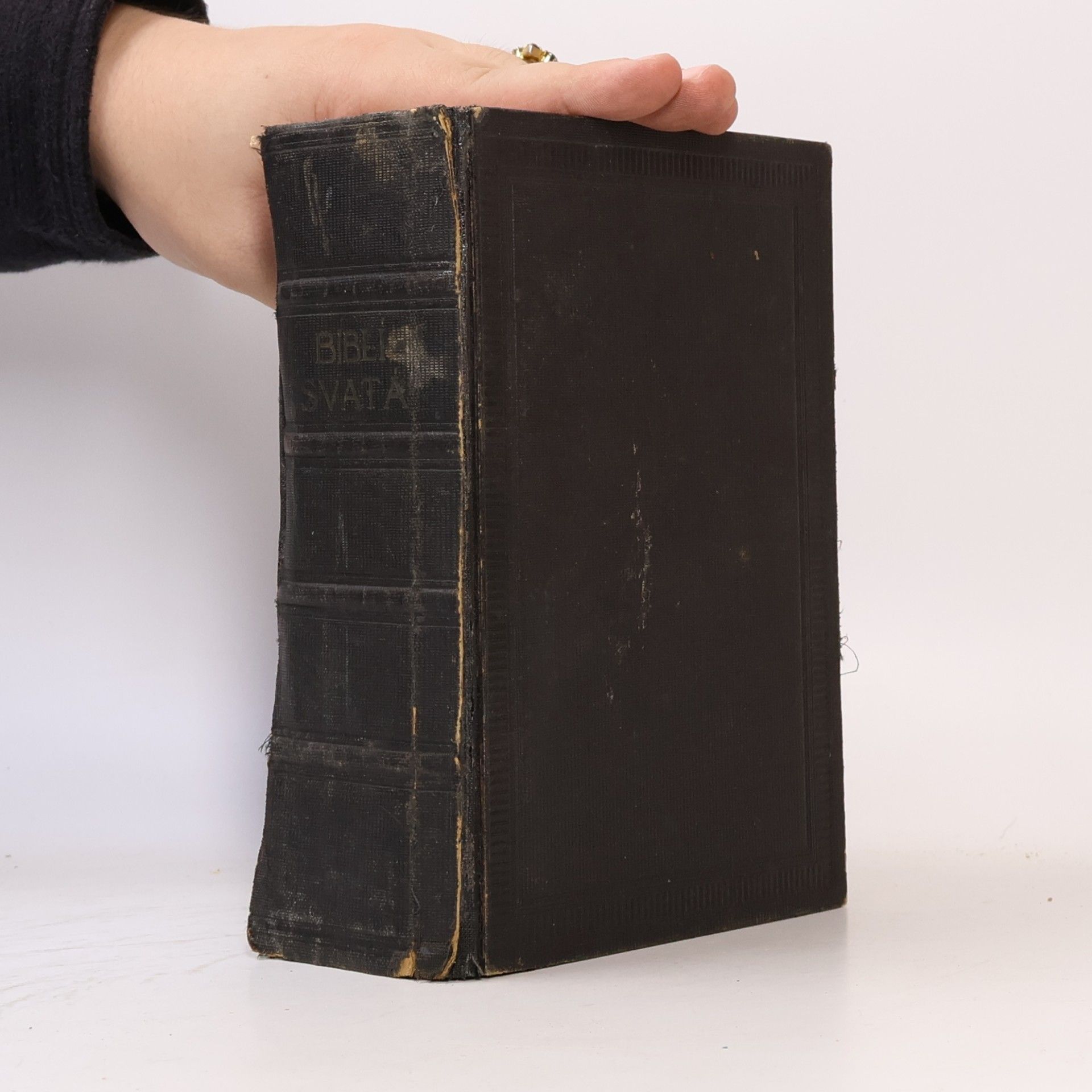 Kolektiv autorů Biblí svatá aneb Všecka svatá písma Starého i Nového zákona
