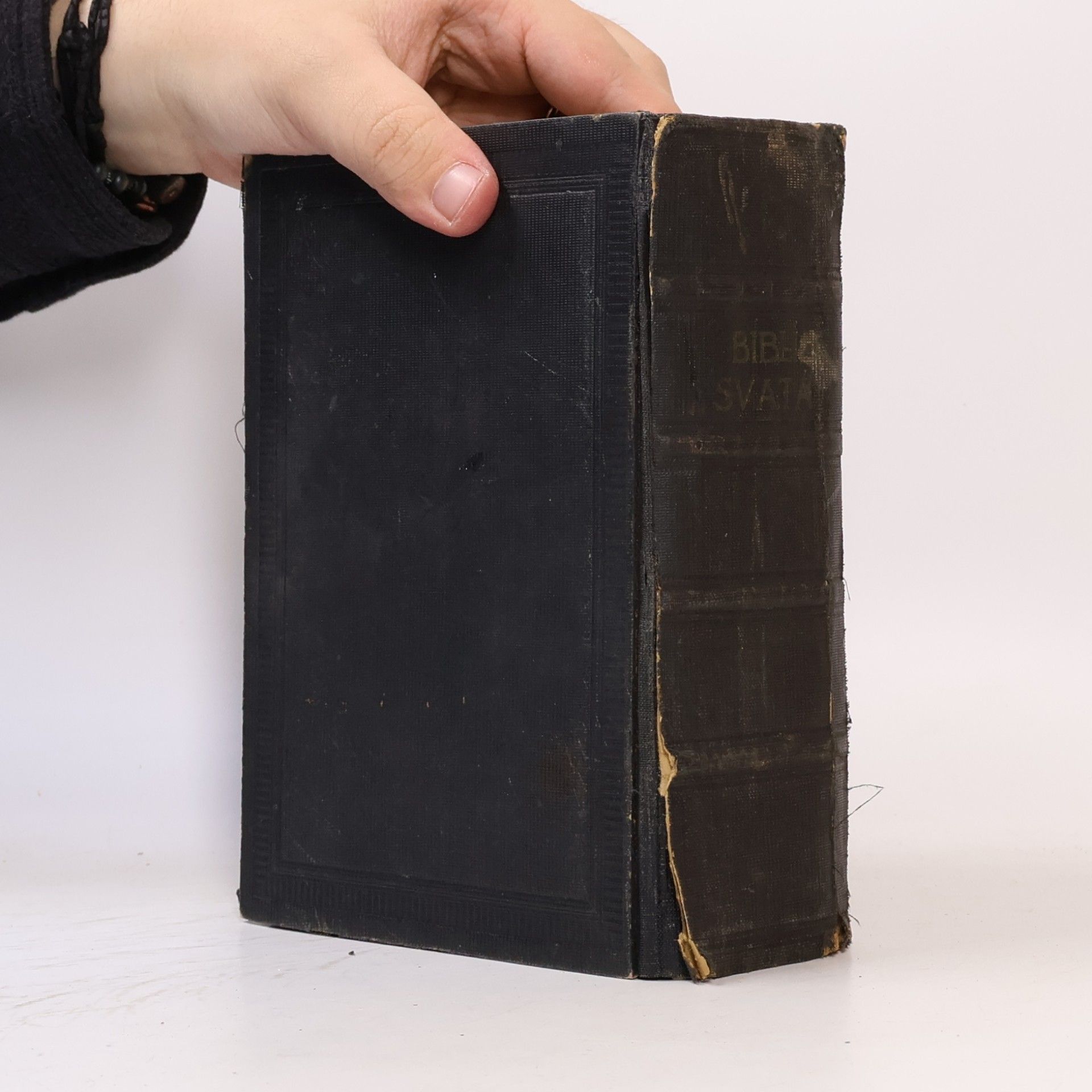 Kolektiv autorů Biblí svatá aneb Všecka svatá písma Starého i Nového zákona
