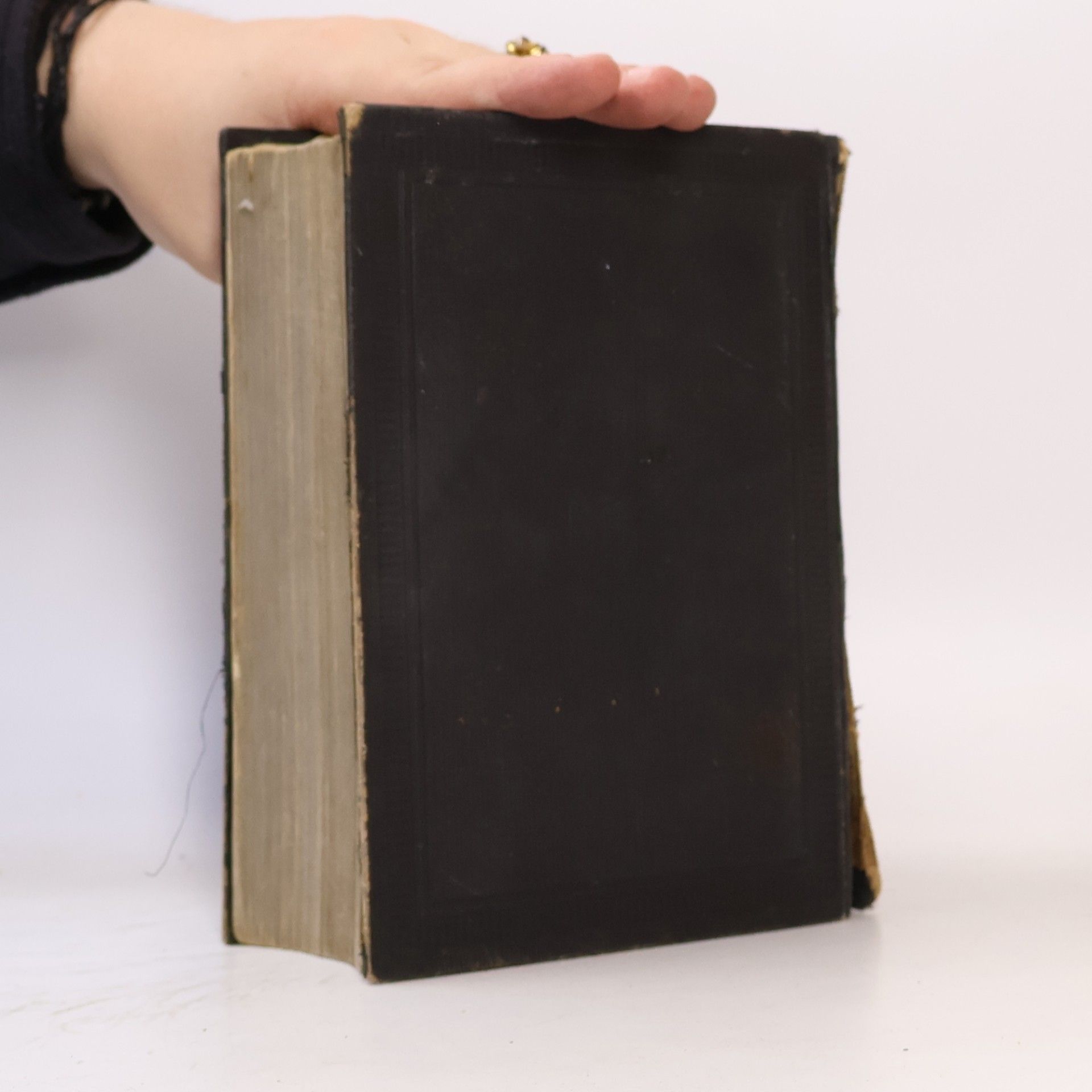Kolektiv autorů Biblí svatá aneb Všecka svatá písma Starého i Nového zákona