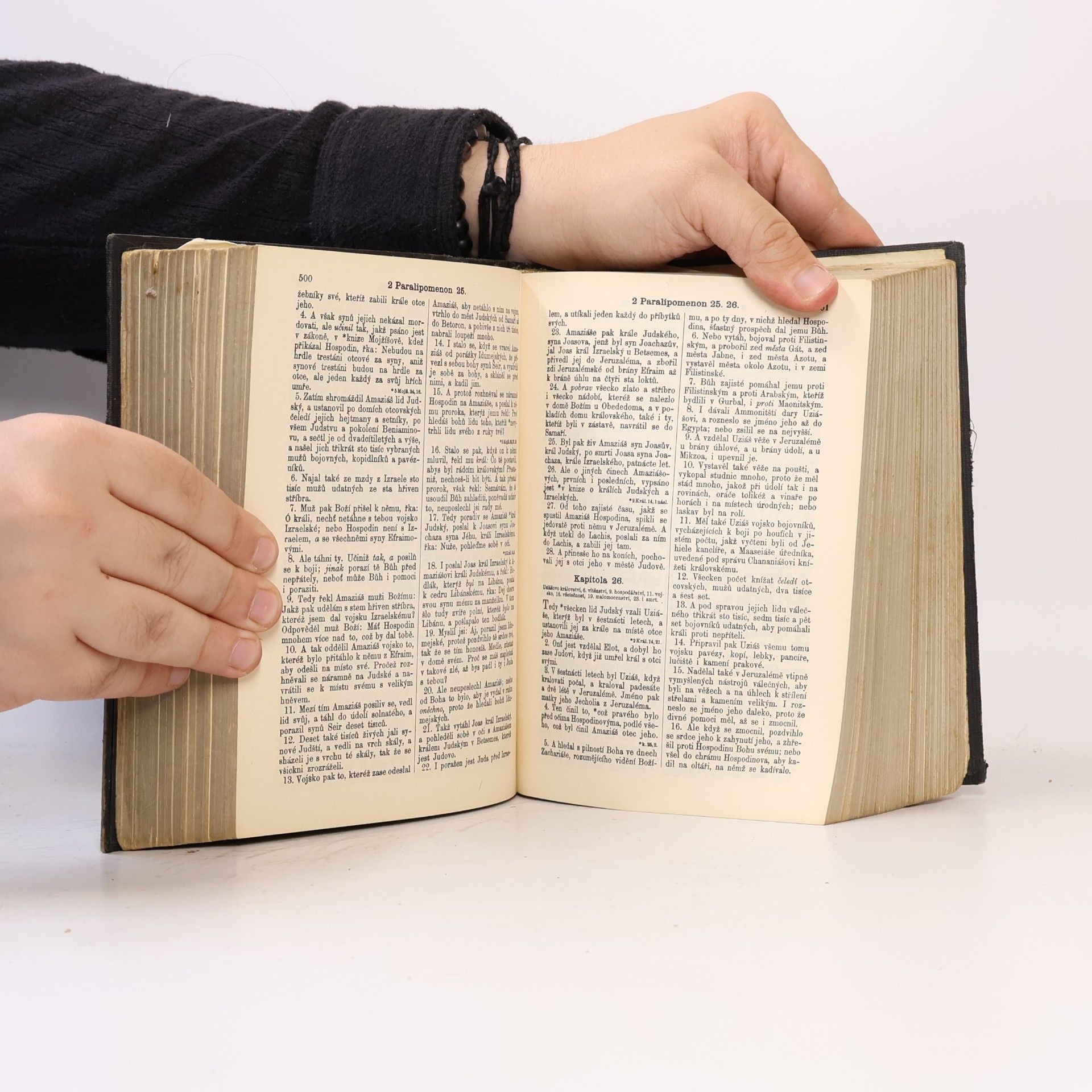 Kolektiv autorů Biblí svatá aneb Všecka svatá písma Starého i Nového zákona