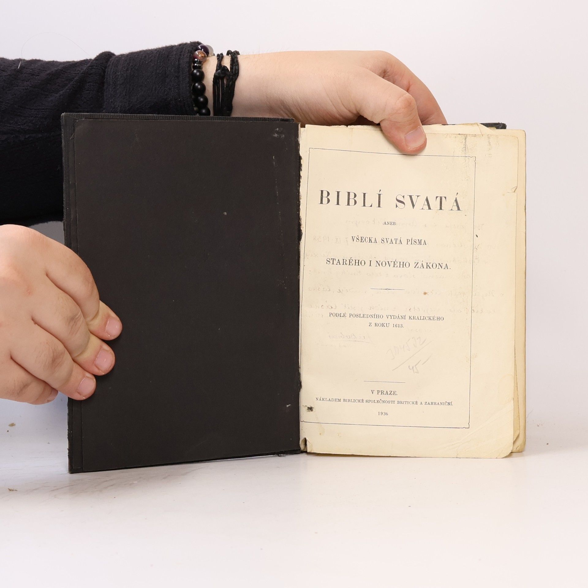 Kolektiv autorů Biblí svatá aneb Všecka svatá písma Starého i Nového zákona