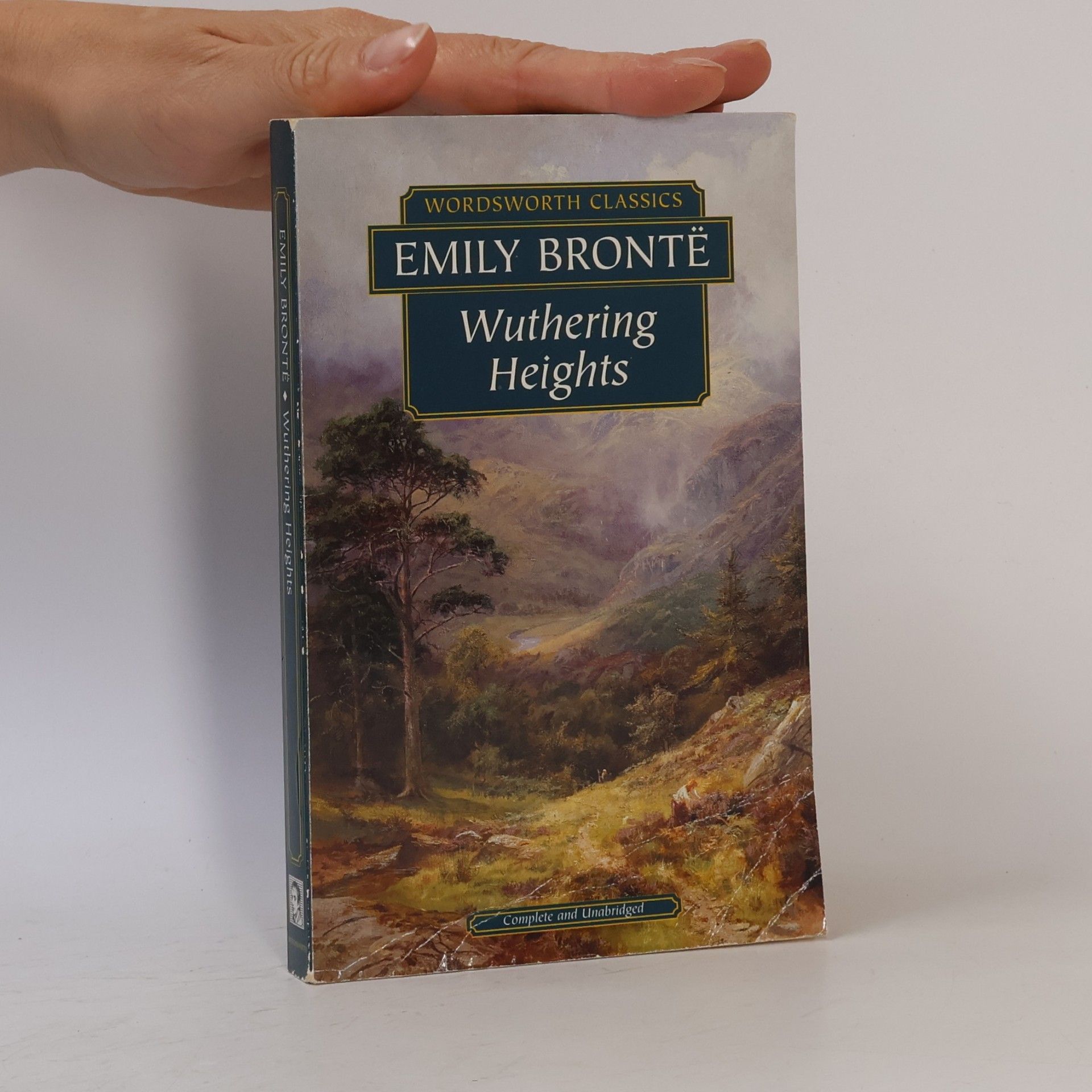 Emily Brontë Wuthering Heights