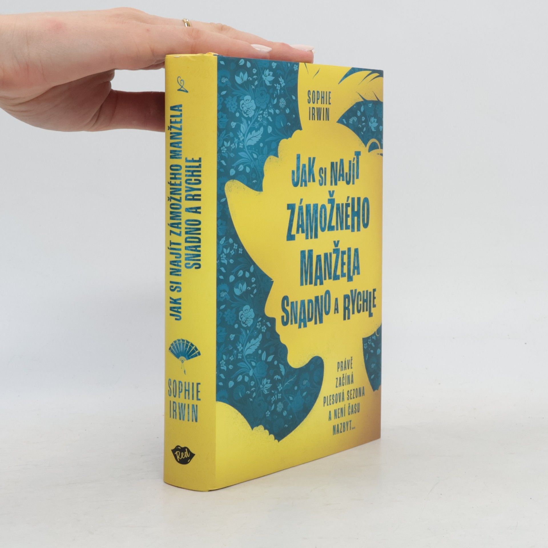 Sophie Irwin Jak si najít zámožného manžela snadno a rychle
