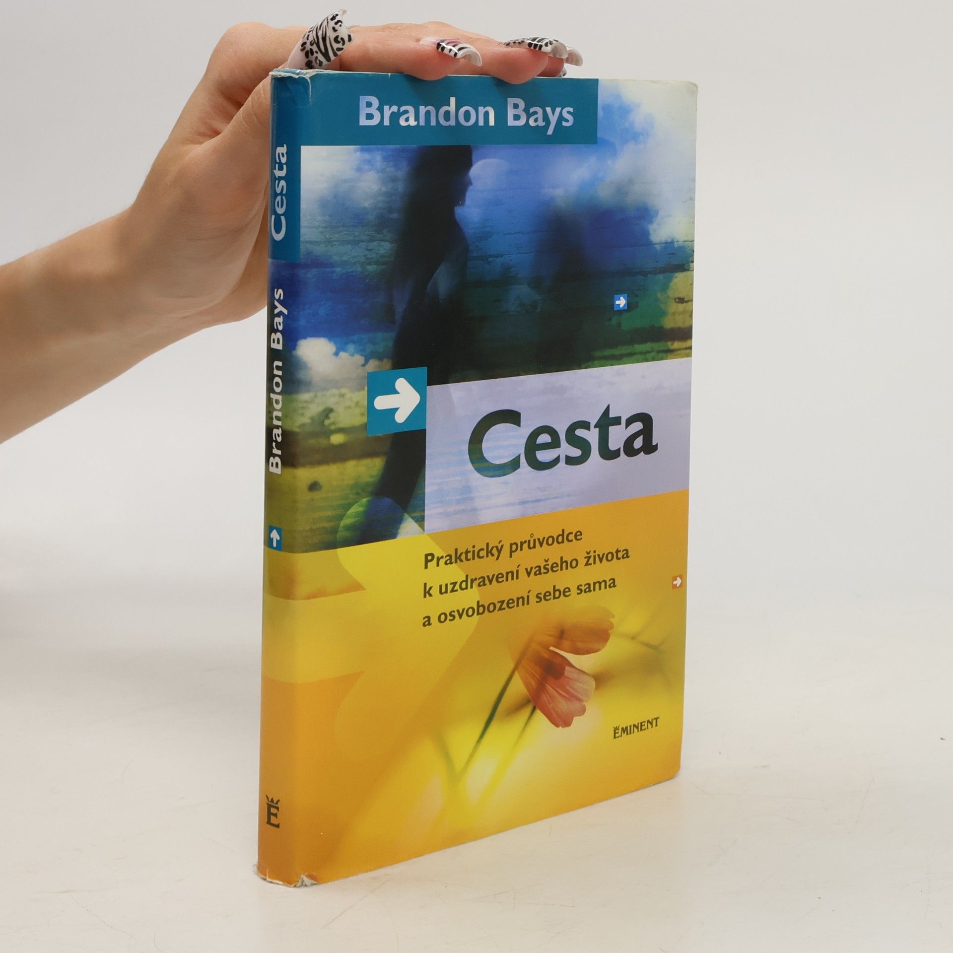 Brandon Bays Cesta