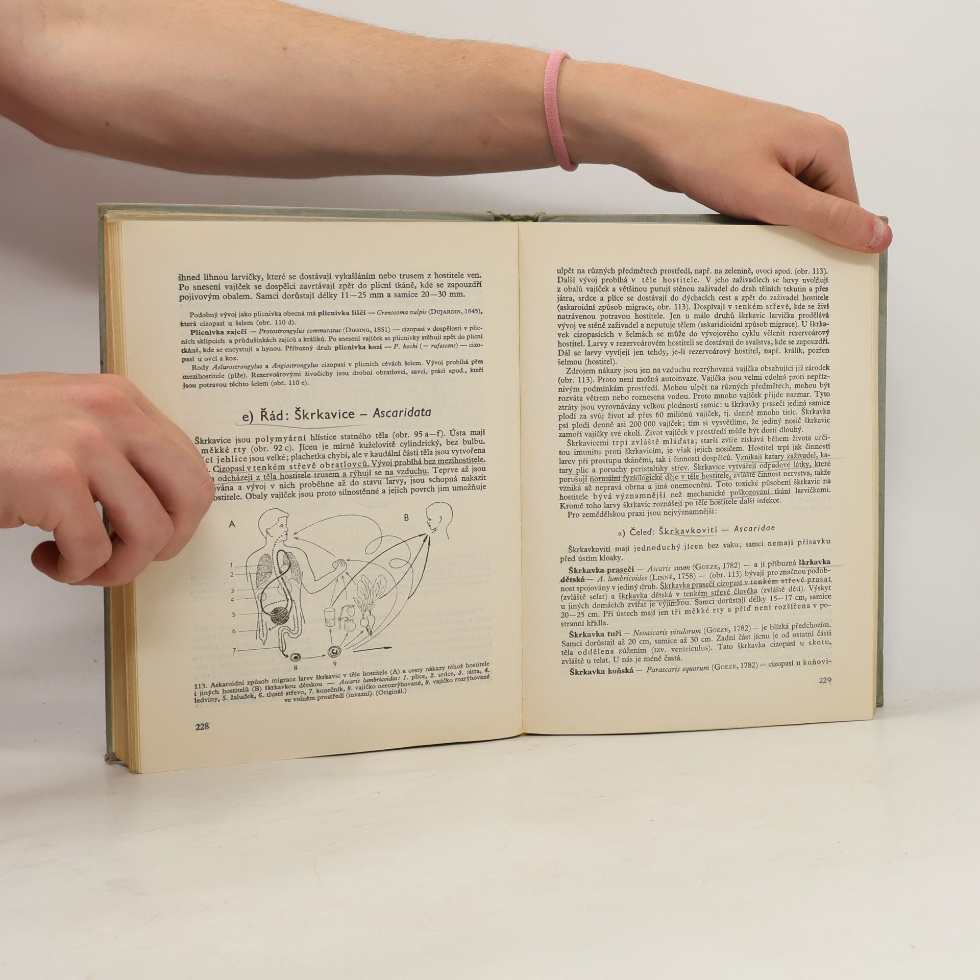 Josef Kratochvíl Použitá zoologie 1. díl – Bezobratlí