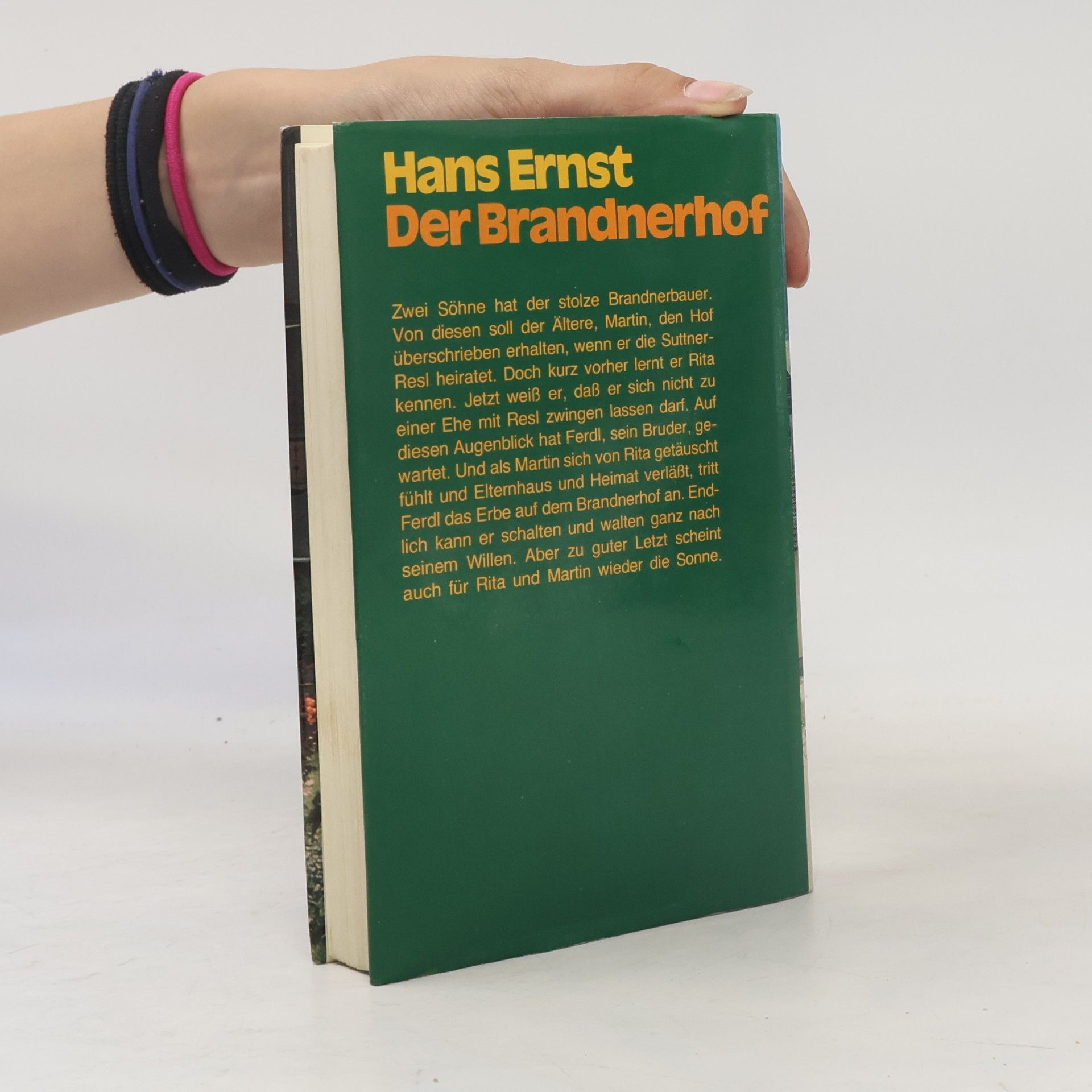 Hans-Ernst Schwiete Der Brandnerhof