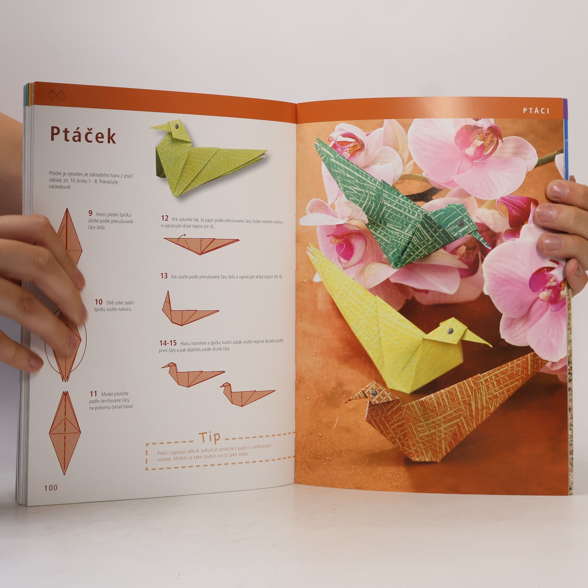 Armin Täubner Origami pro každého : od jednoduchých po náročnější