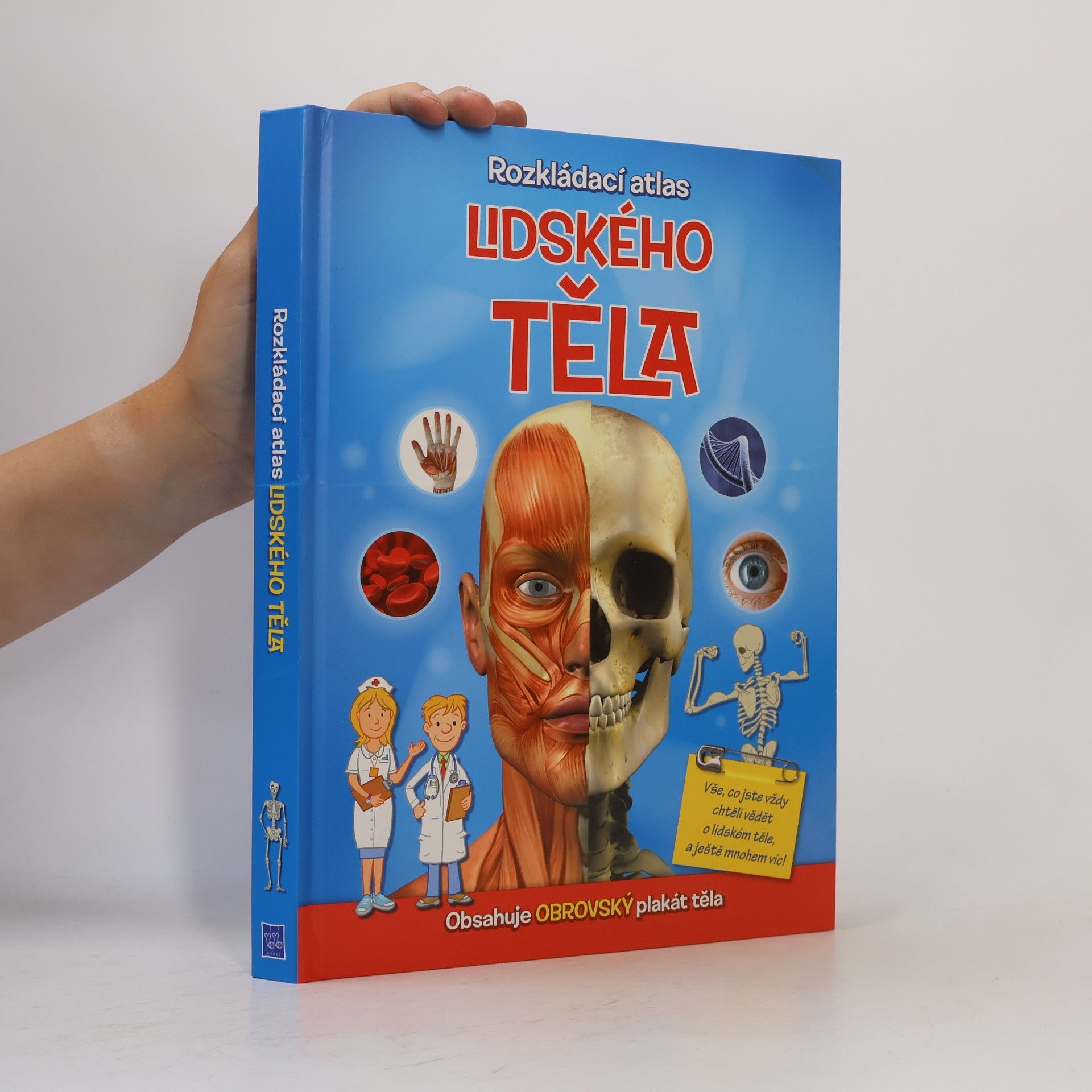 Autorenkollektiv Rozkládací atlas lidského těla