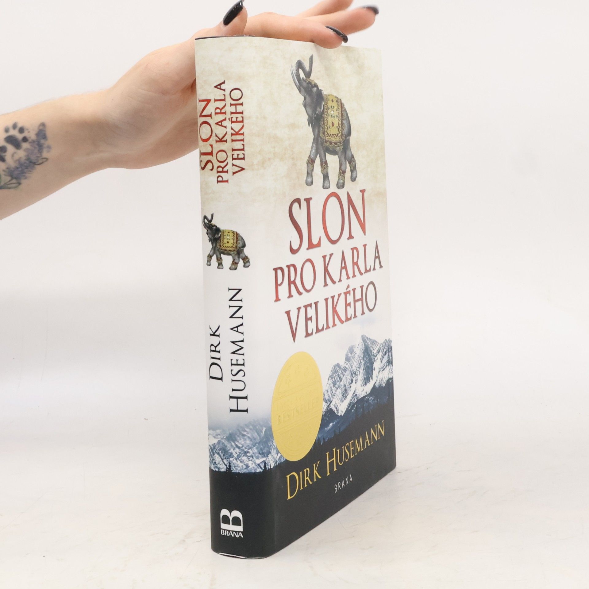 Dirk Husemann Slon pro Karla Velikého