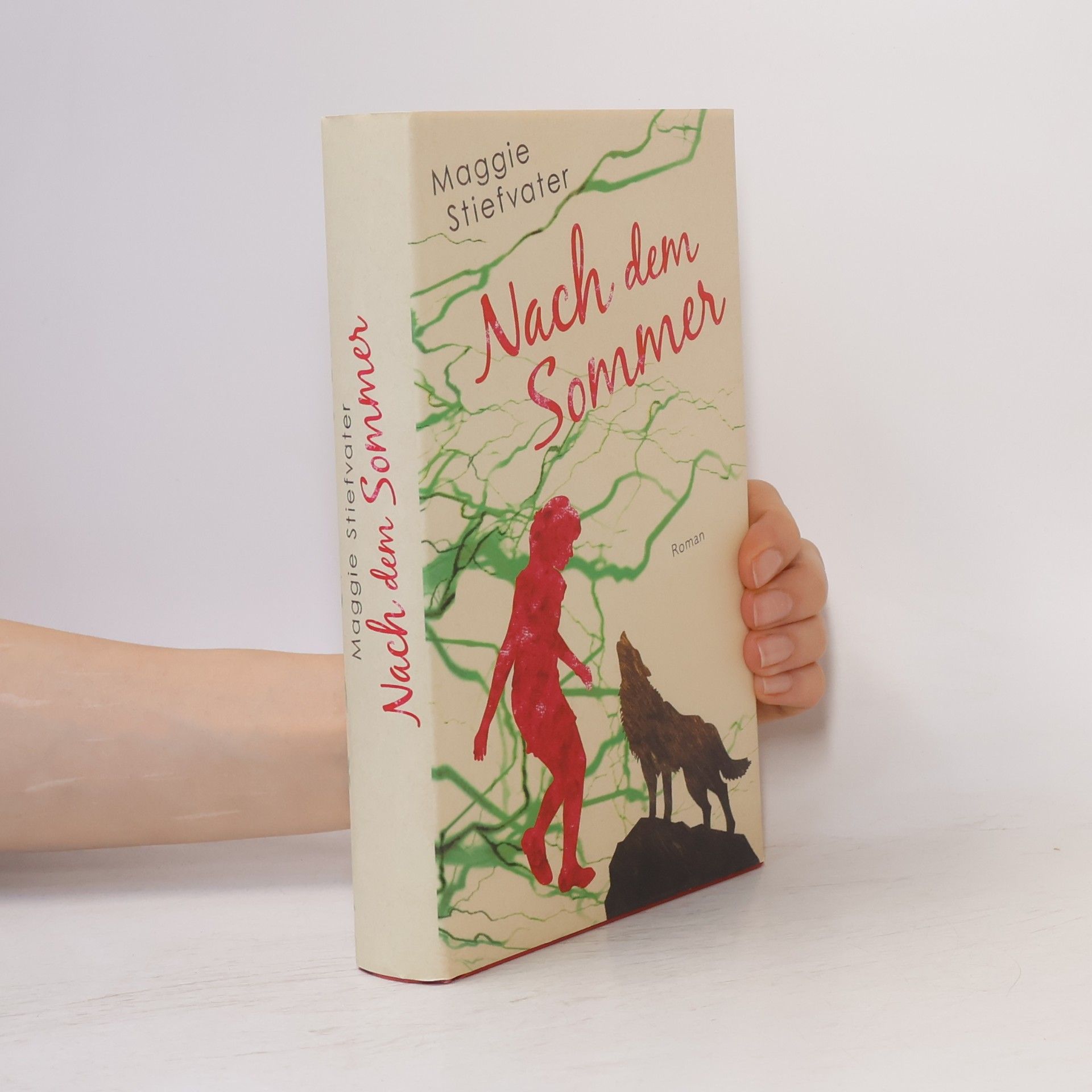 Maggie Stiefvater Nachm dem Sommer
