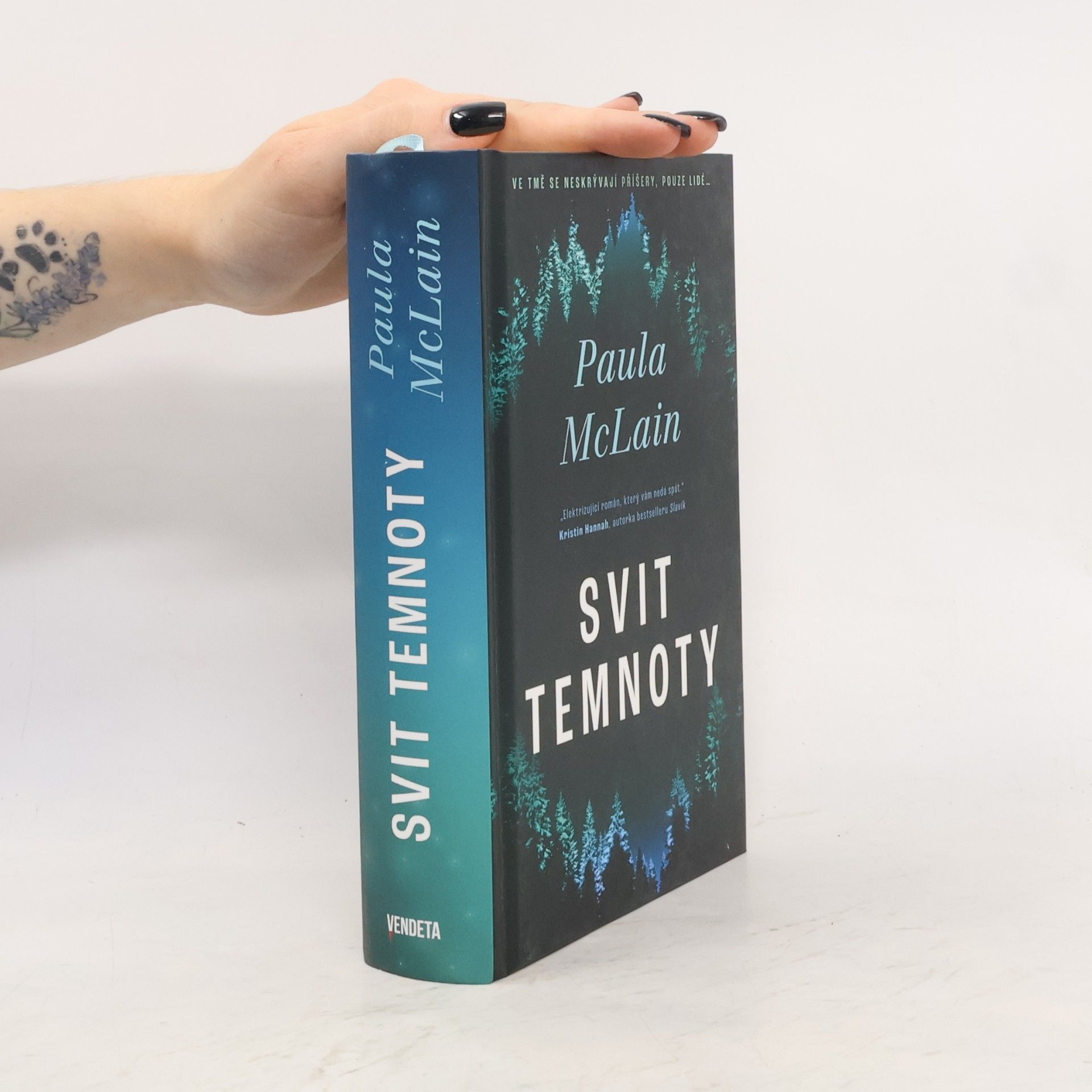 Paula McLain Svit temnoty