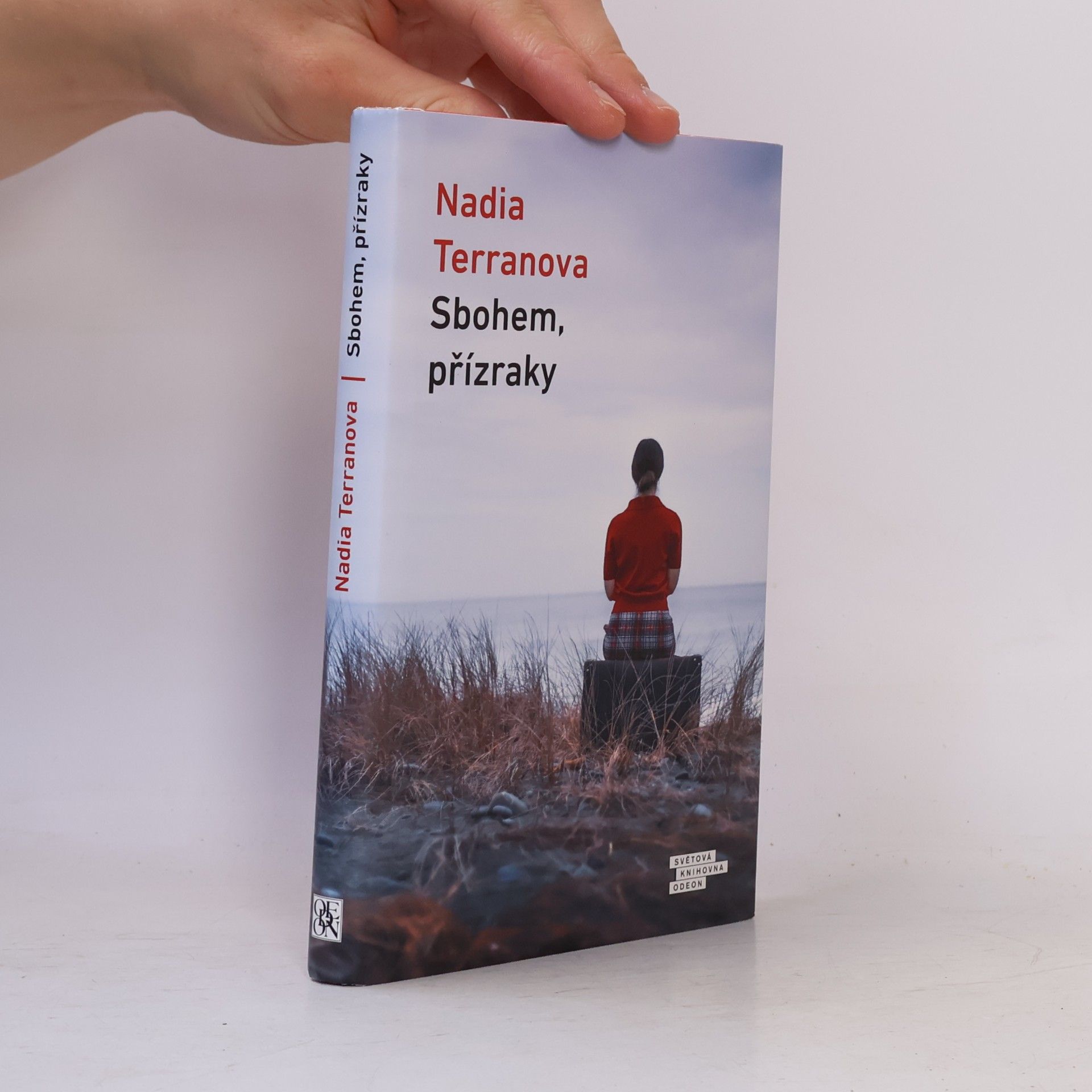 Nadia Terranova Sbohem, přízraky