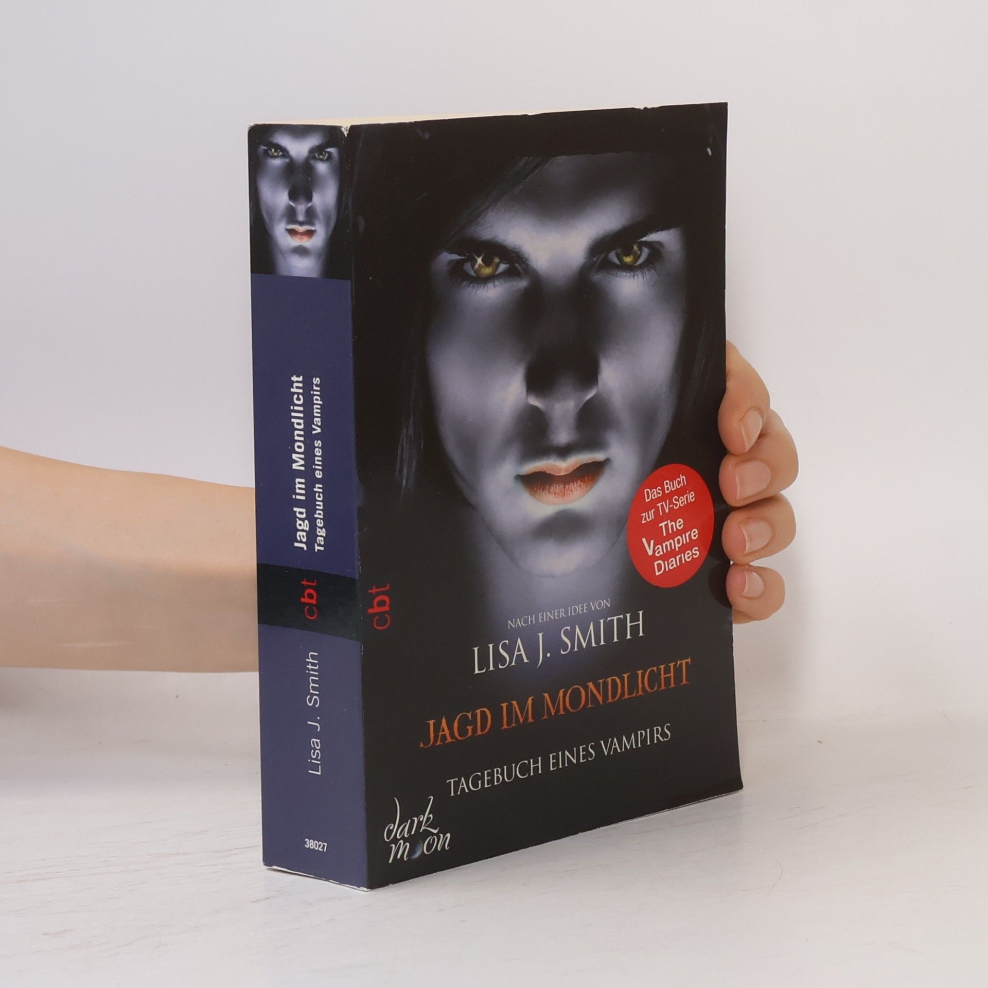 Lisa J. Smith Jagd im Mondlicht