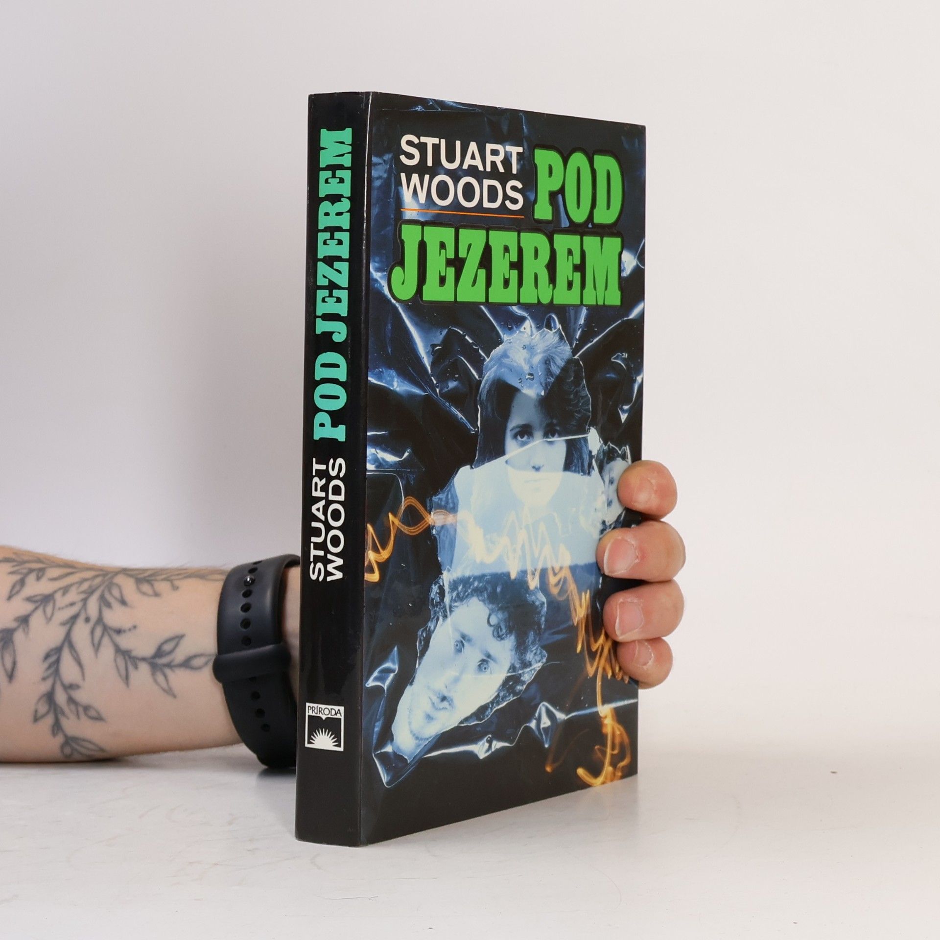 Stuart Woods Pod jezerem