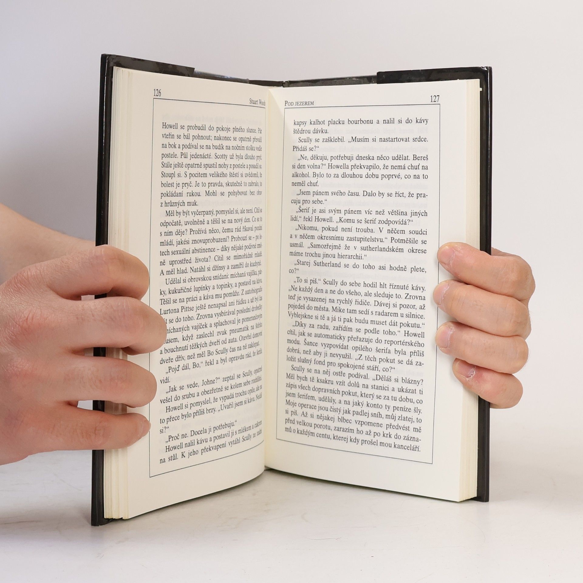 Stuart Woods Pod jezerem