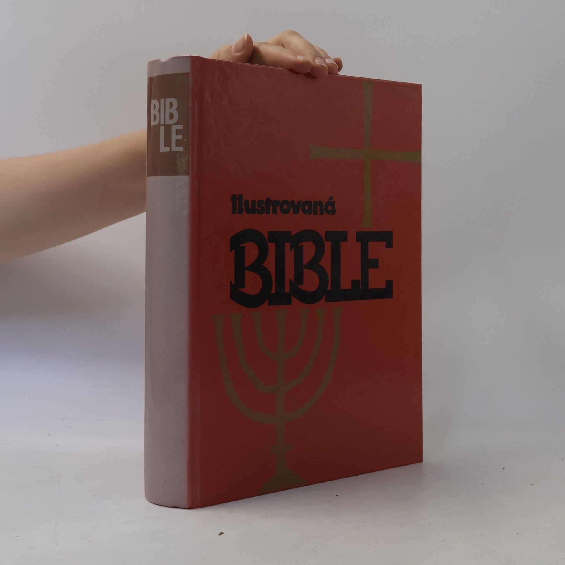 Samuel Terrien Ilustrovaná Bible pro mládež