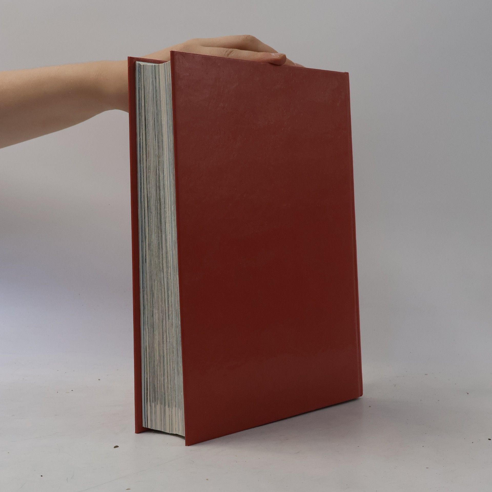 Samuel Terrien Ilustrovaná Bible pro mládež