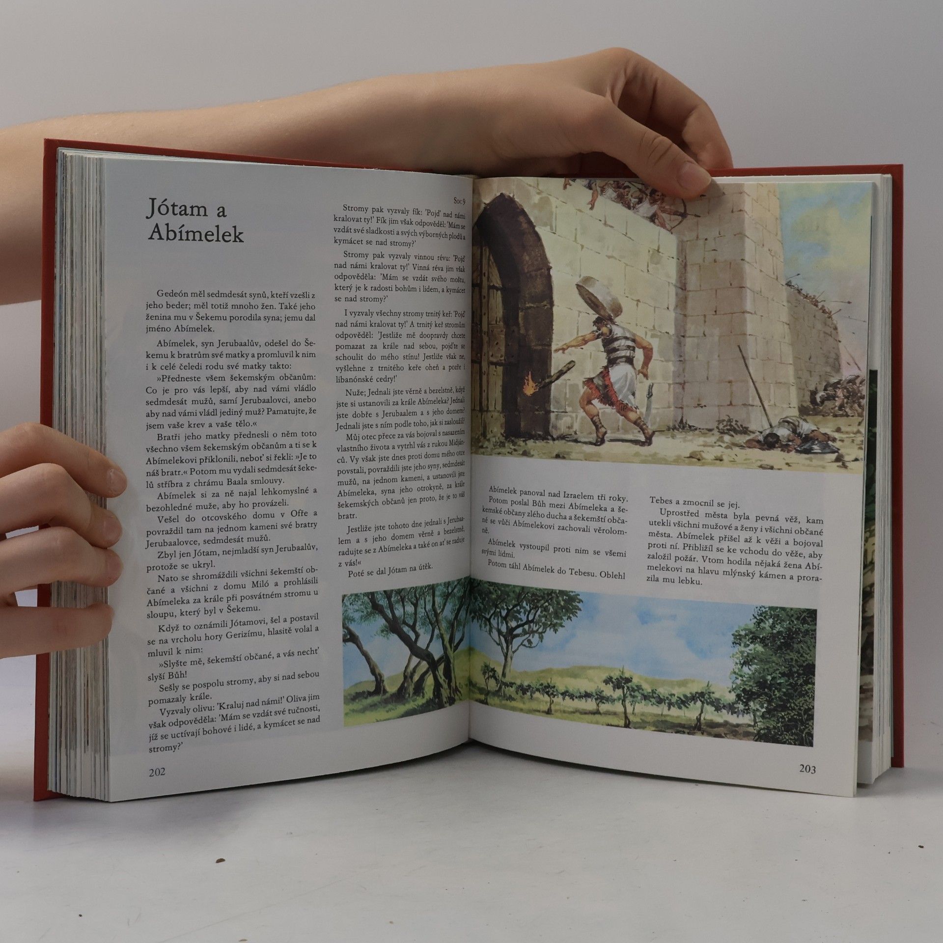 Samuel Terrien Ilustrovaná Bible pro mládež