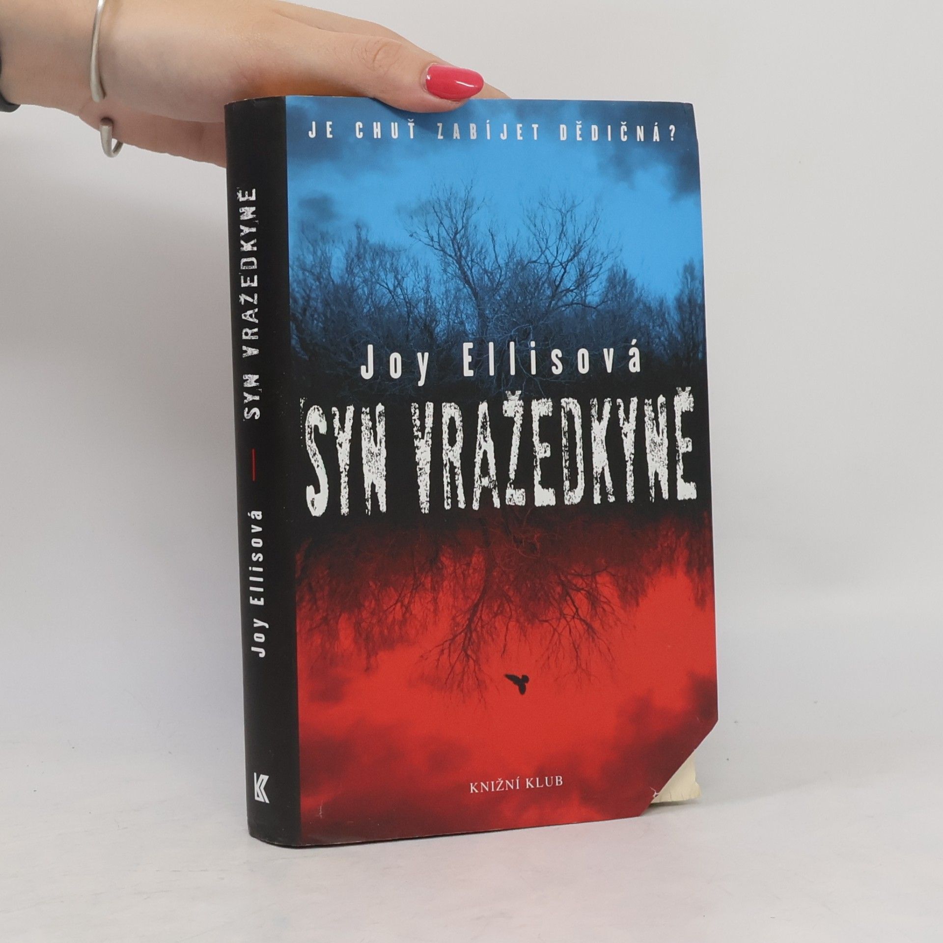 Joy Ellis Syn vražedkyně