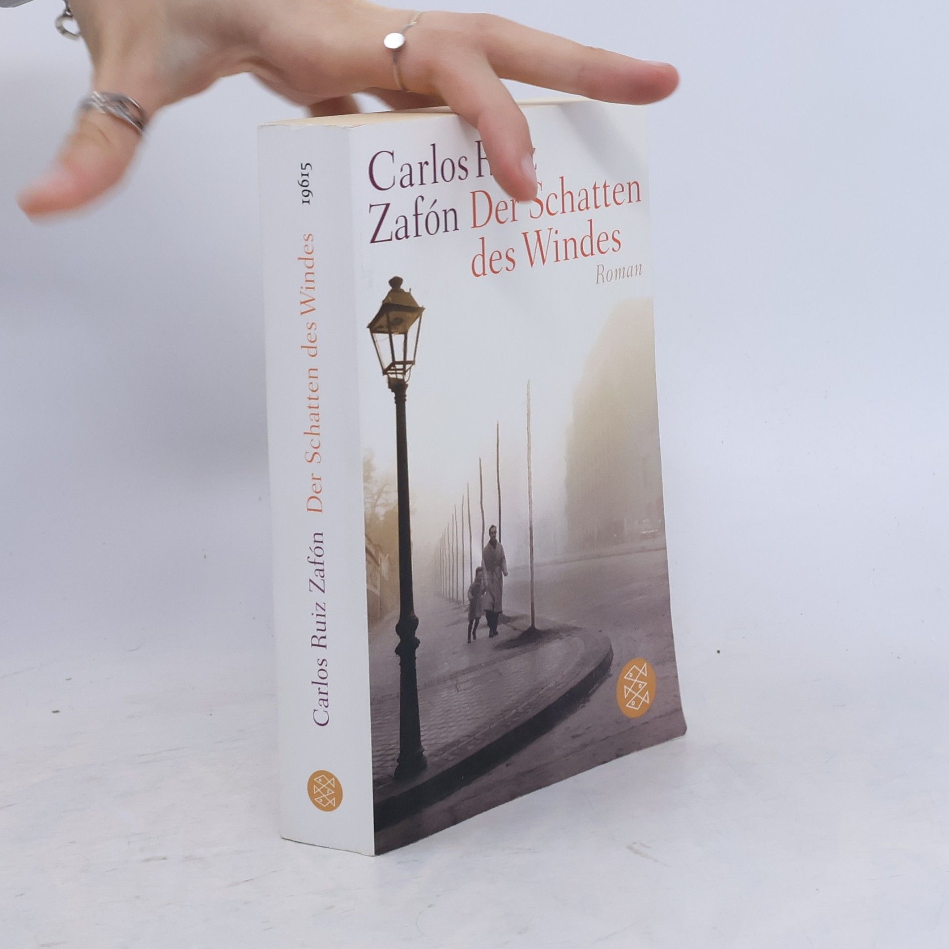 Carlos Ruiz Zafón Der Schatten des Windes