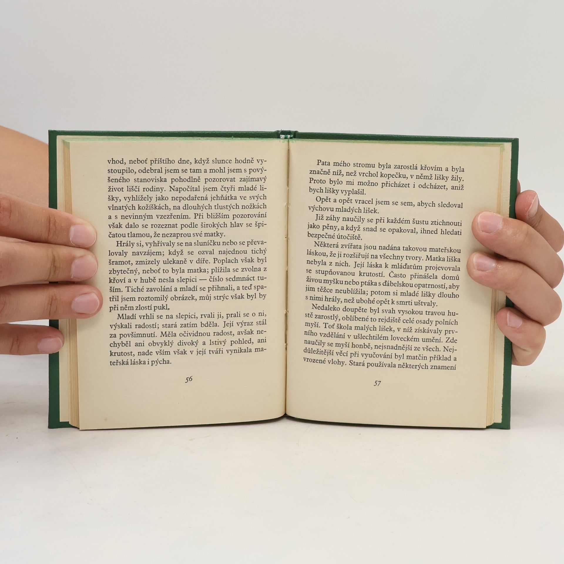 Ernest Thompson Seton Prérijní vlk ; Wully, ovčácký pes ; Liška-matka