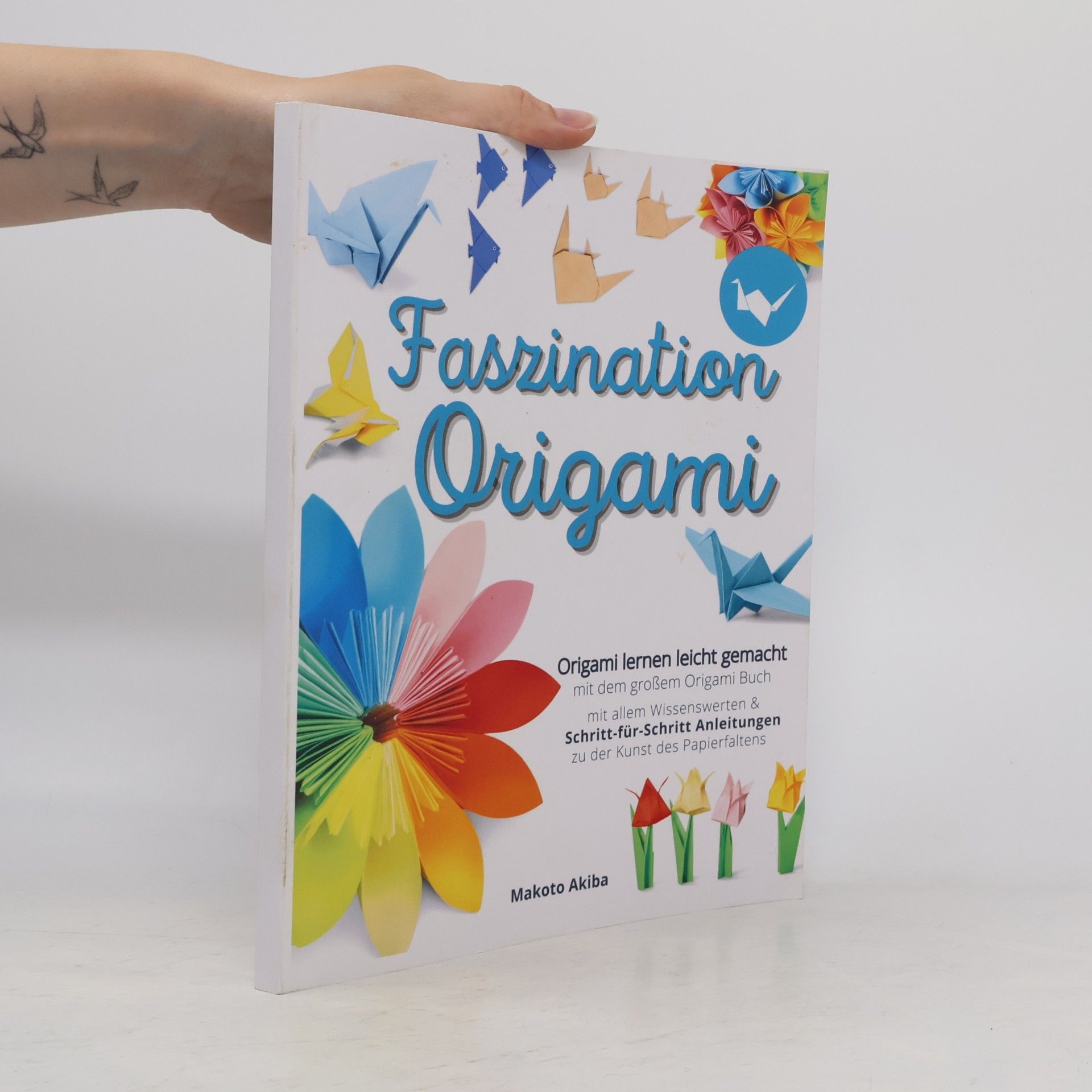 Makoto Akiba Faszination Origami