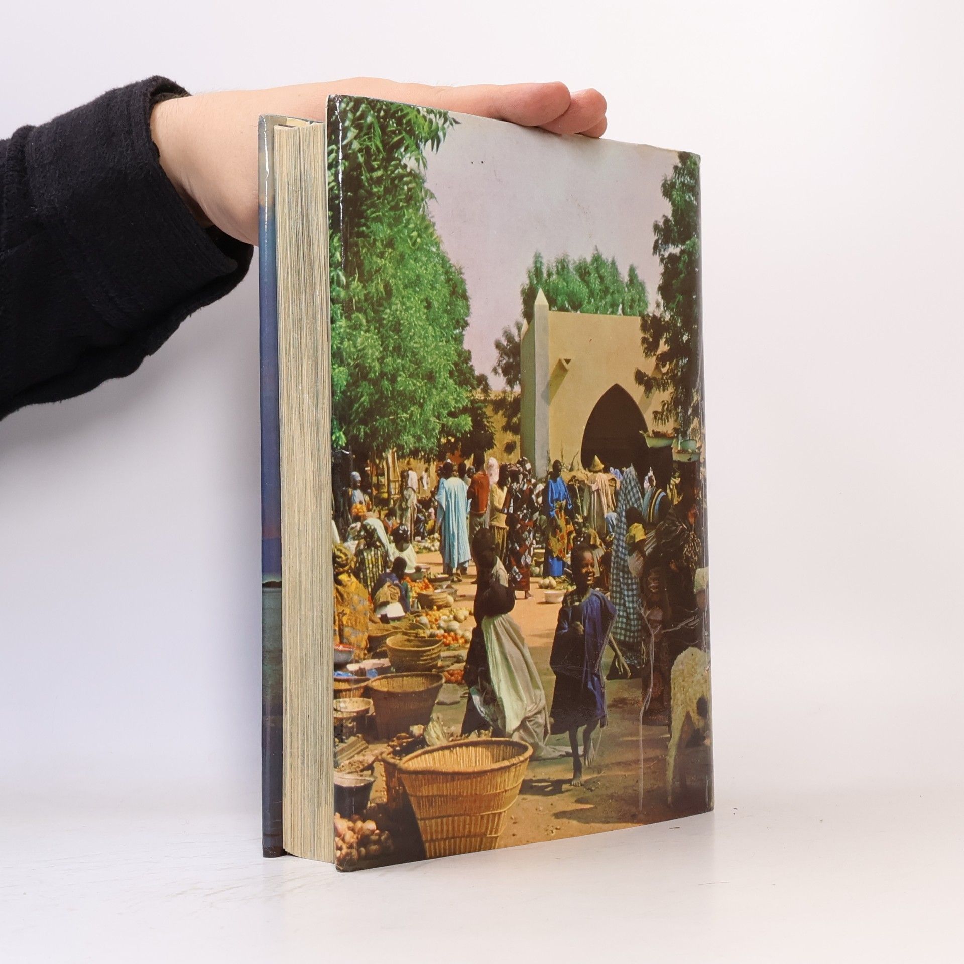 The Children's Picture Atlas in Colour: Revised Edition