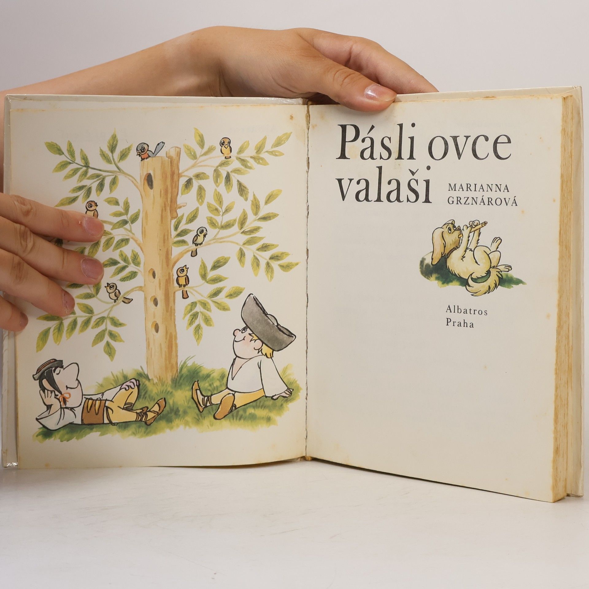 Marianna Grznárová Pásli ovce valaši