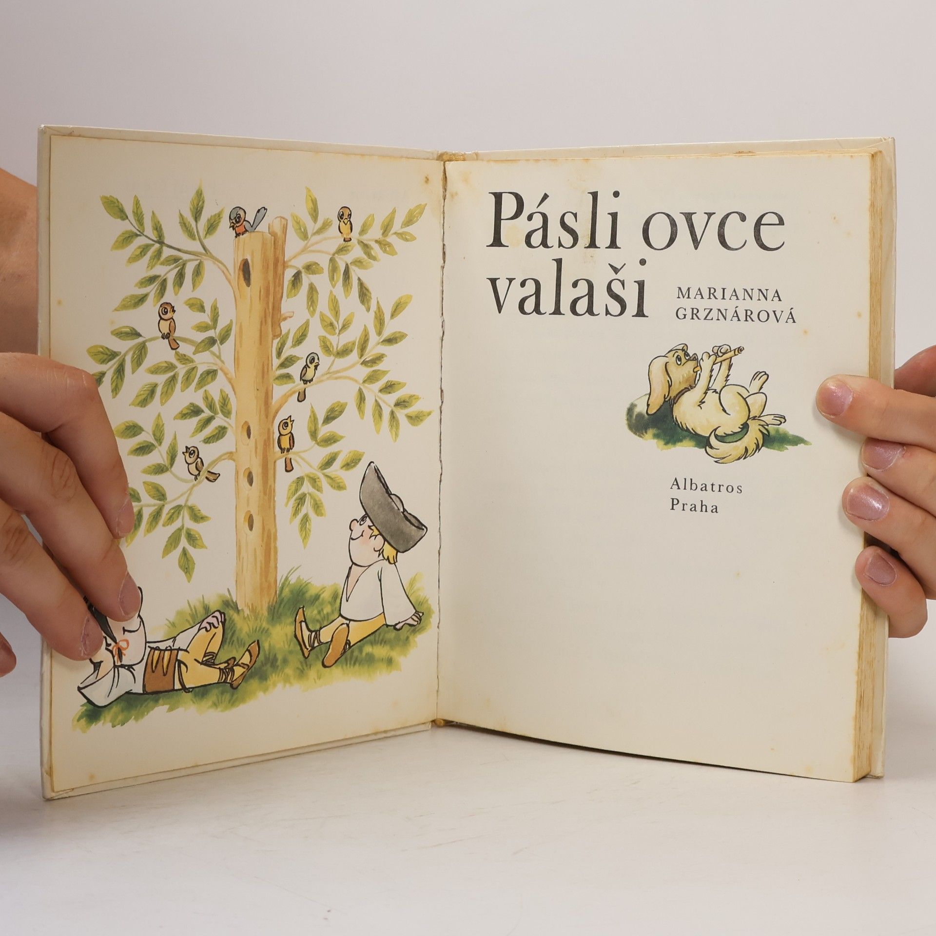 Marianna Grznárová Pásli ovce valaši