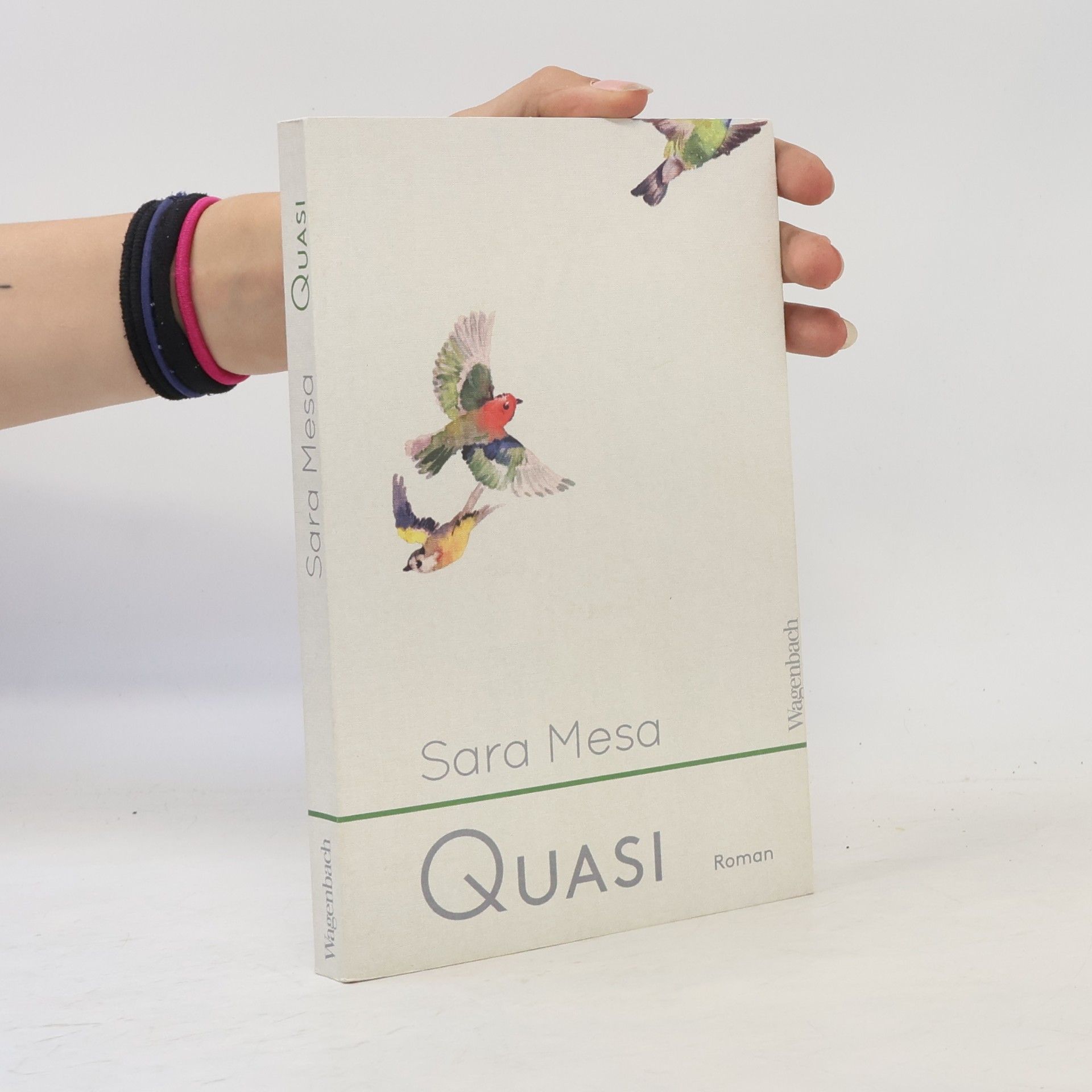 Sara Mesa Quasi