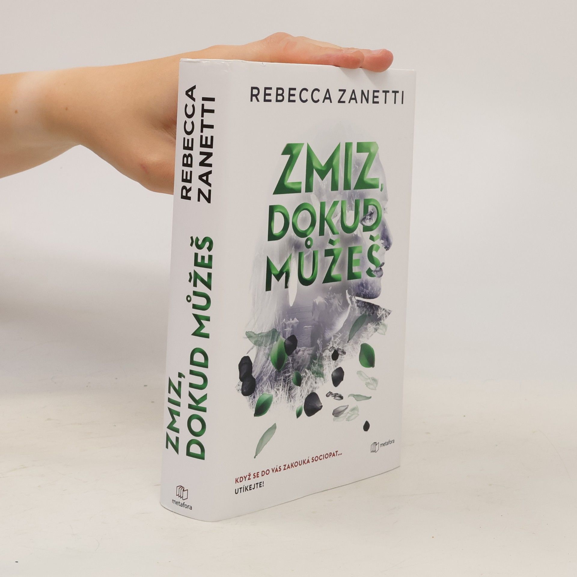 Rebecca Zanetti Zmiz, dokud můžeš
