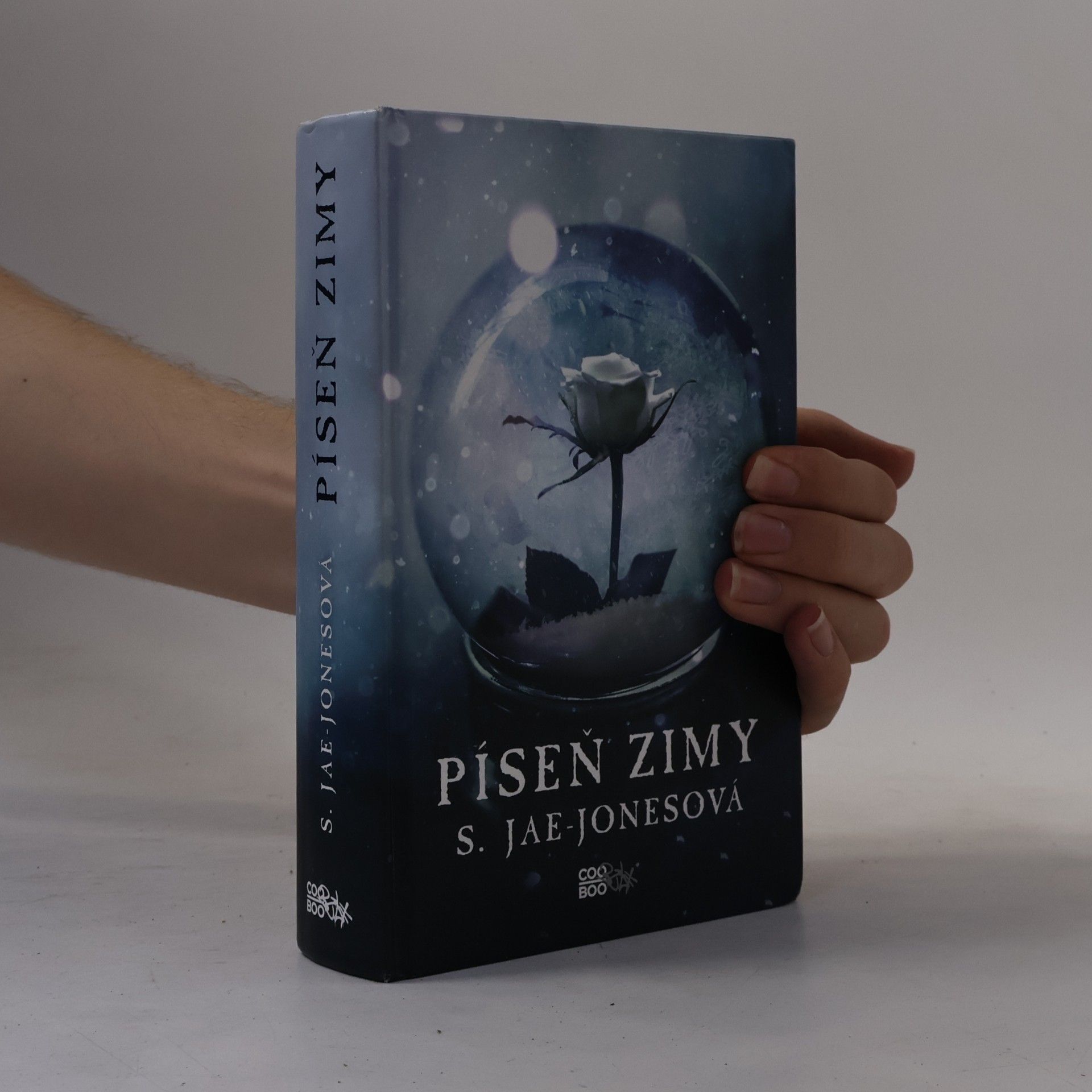 S. Jae-Jones Píseň zimy