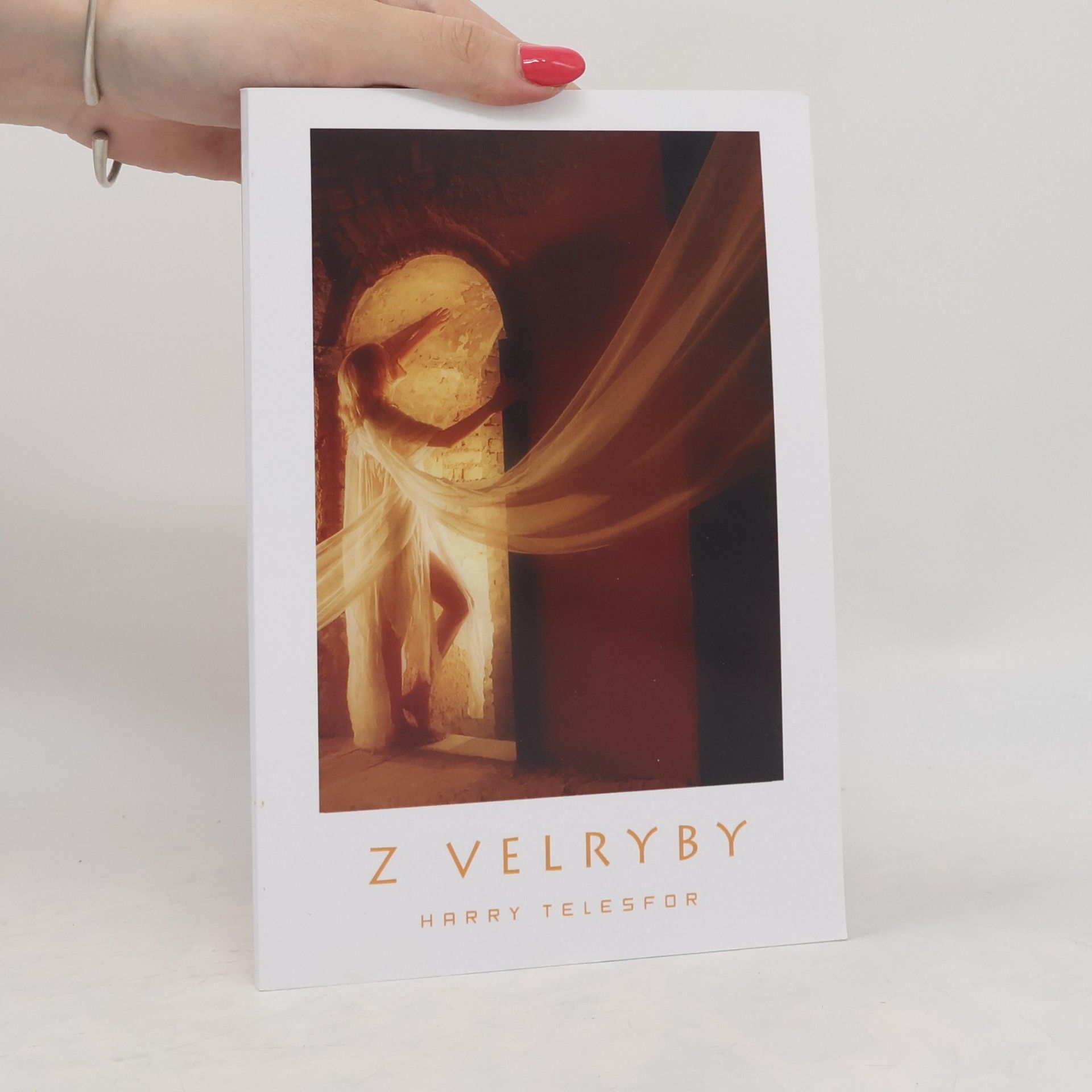 Dalibor Stach Z velryby: 1993-95 : metafyzický příběh