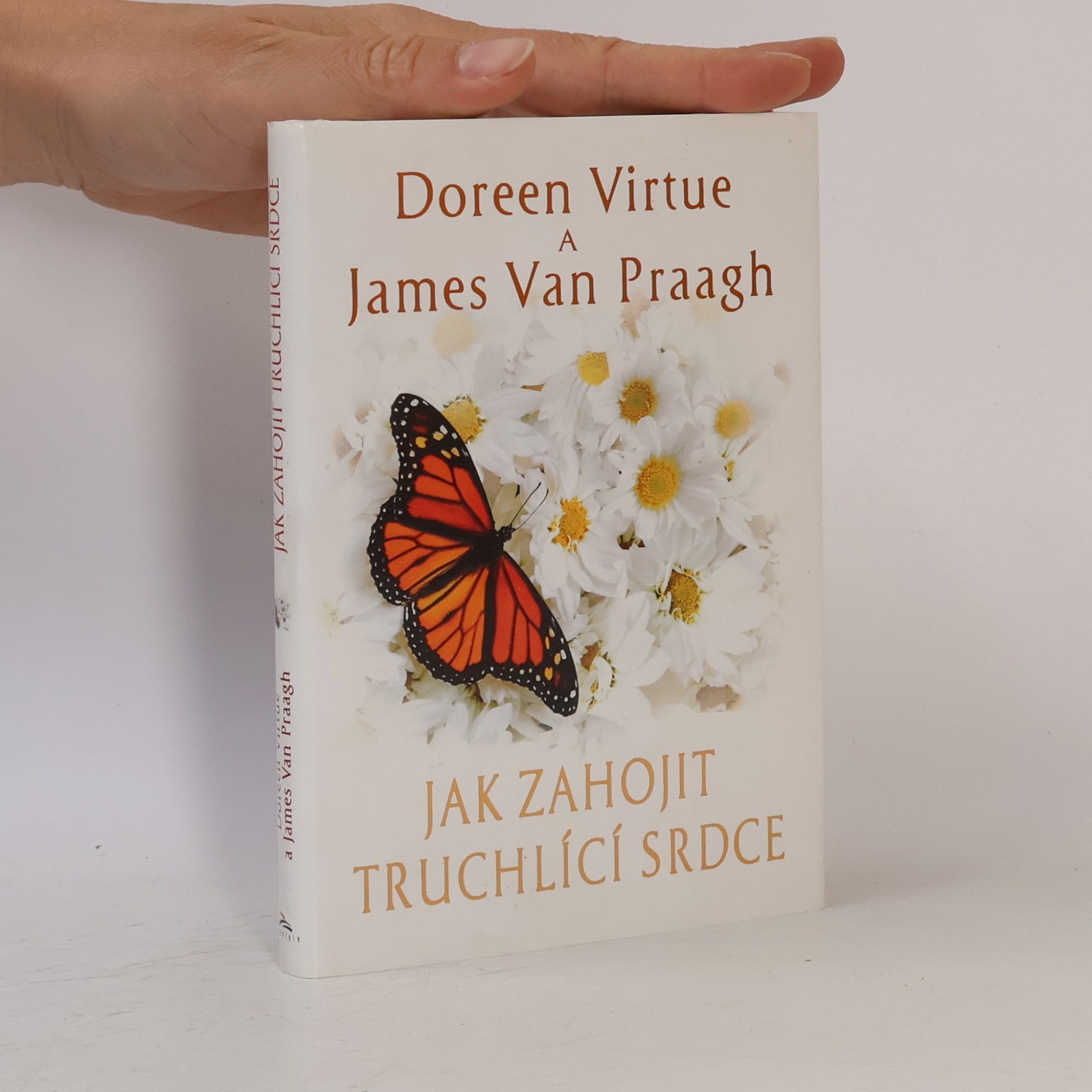 James Van Praagh Jak zahojit truchlící srdce