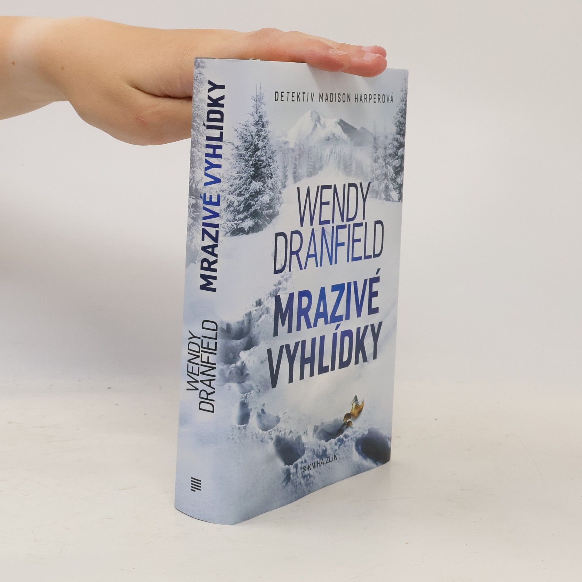 Wendy Dranfield Mrazivé vyhlídky